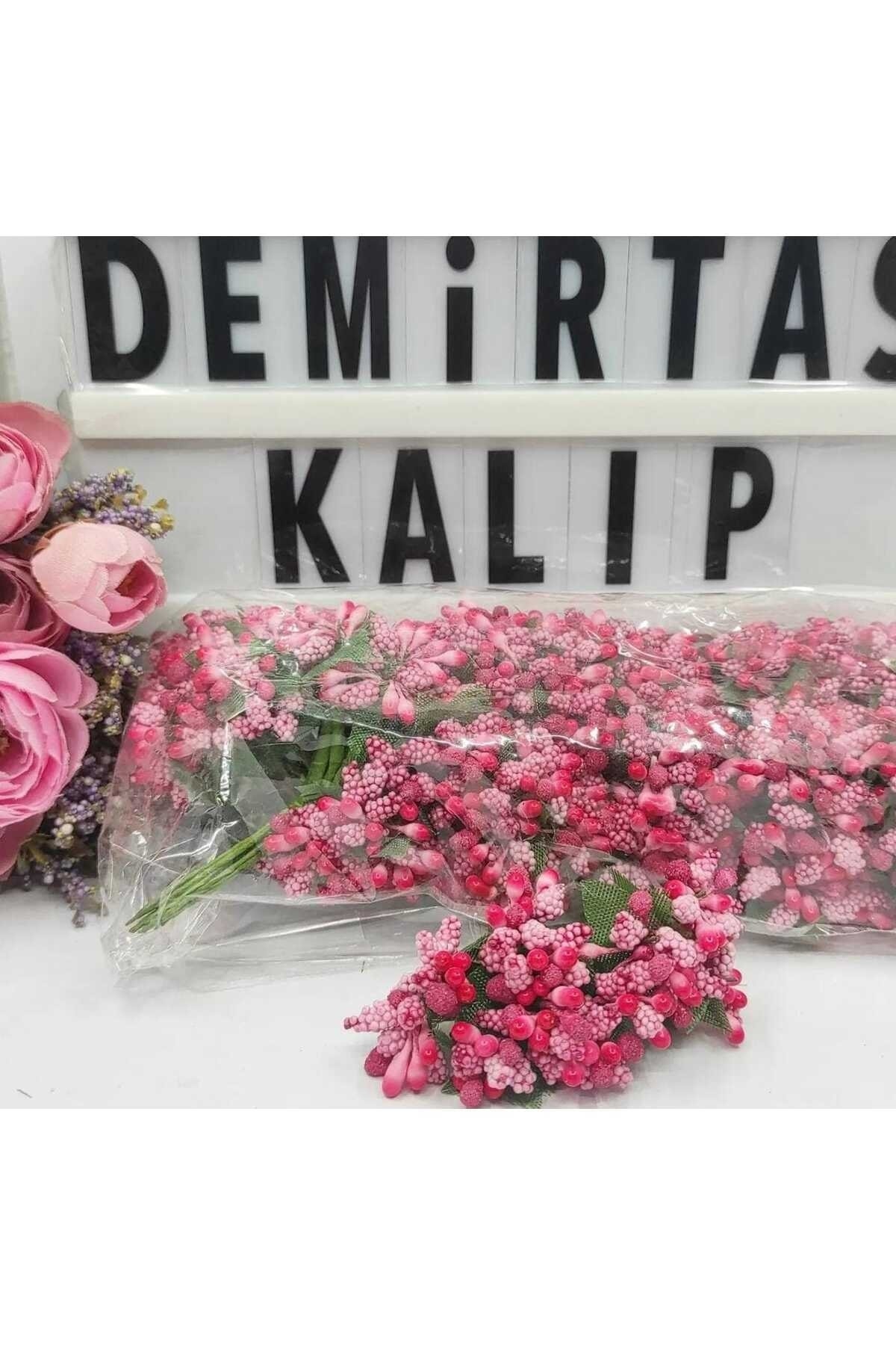 KIRMIZI PITIRCIK