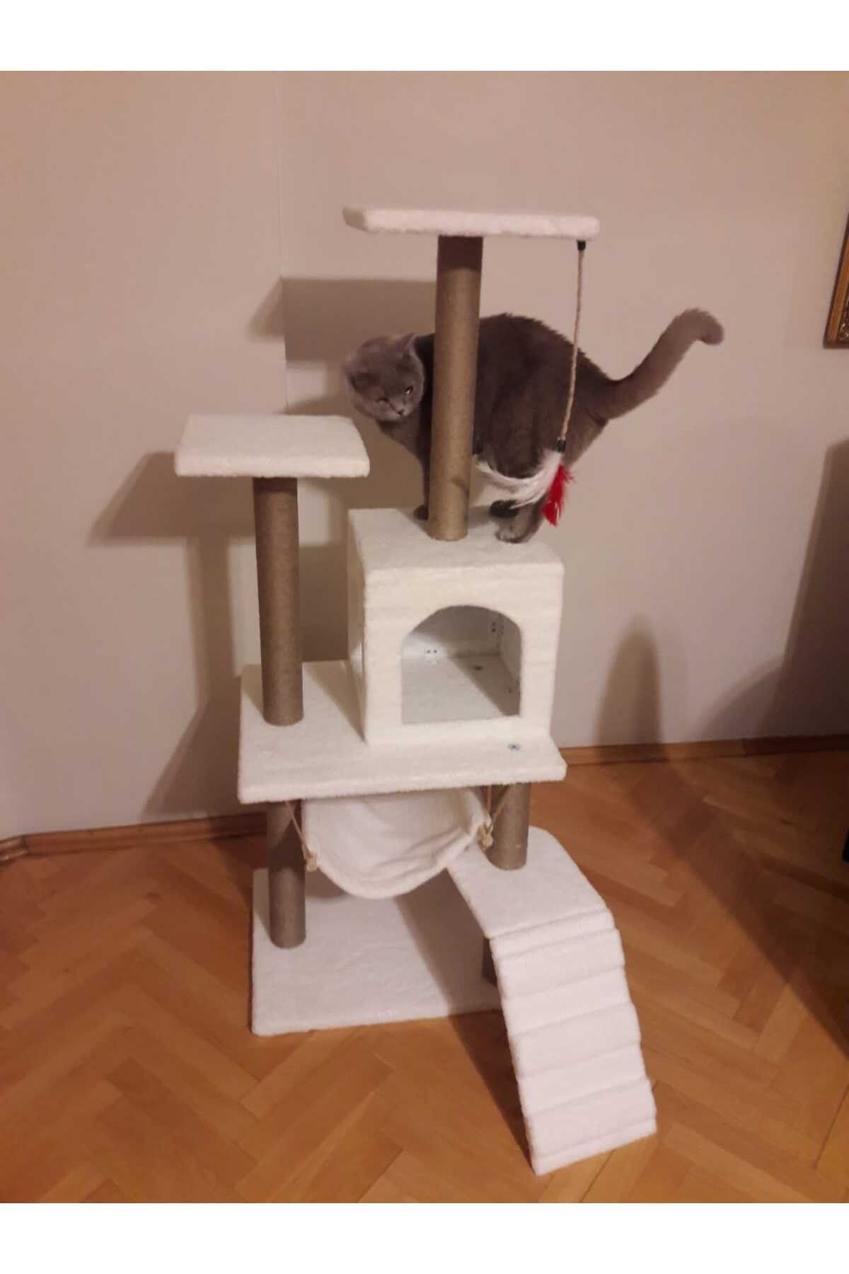 pethomealpi-PETHOMEALPY Cat Scratching House and Play Platform 100% Warranty CUSTOMER MEMORY 2