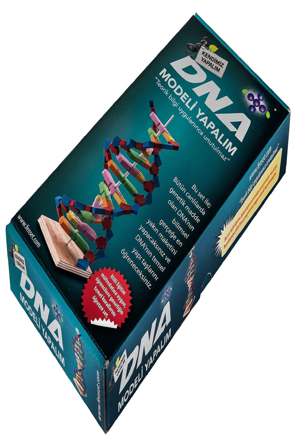 Hobi Eğitim Dünyası-Let's Make Dna Model Experiment Set 7