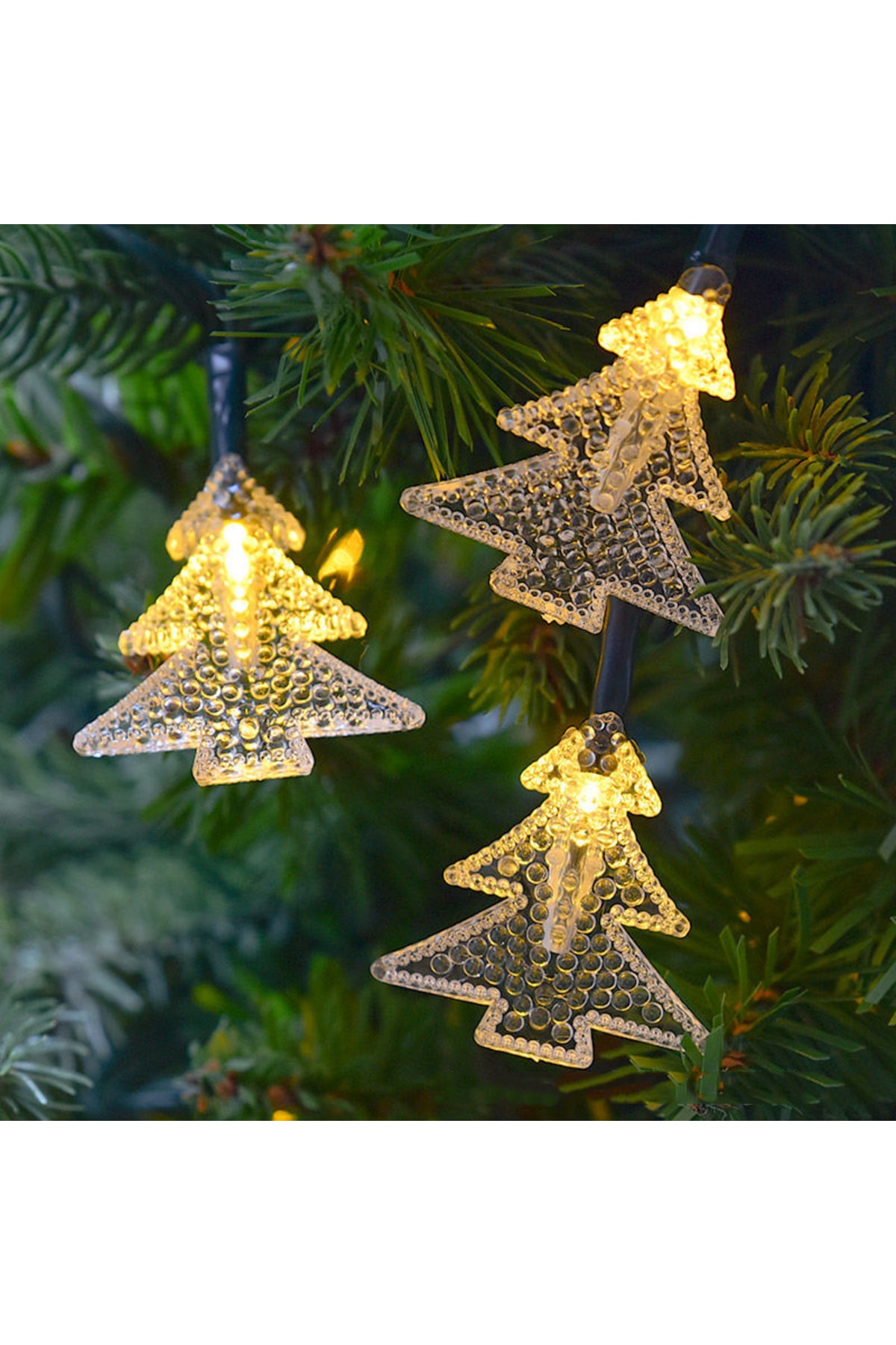 Janva Güneş Enerjili Günışığı Çam Led 10 Metre 25 Çam Led Bahçe Balkon Süsü Dekoratif Aydınlatma Yılbaşı