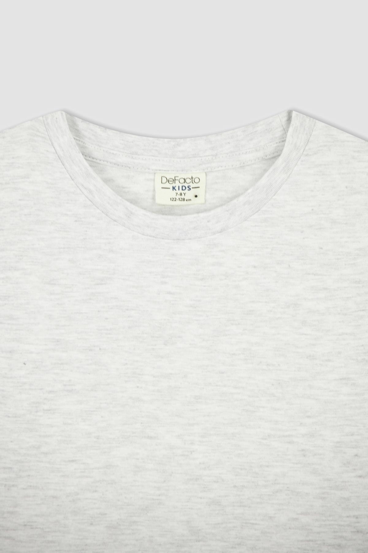 تیشرت پسرانه دفاکتو Defacto اورجینال پسرانه کد کالا K1687A622SP - تصویر 2