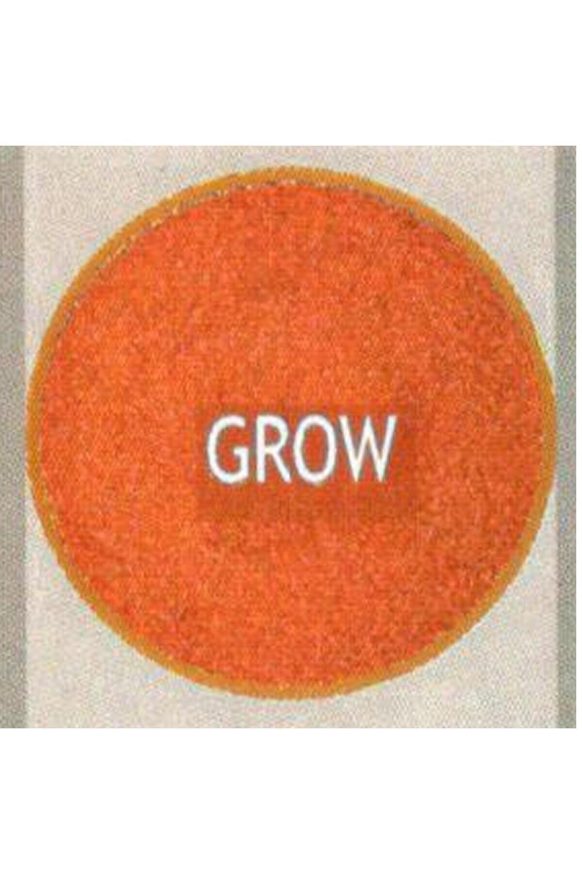 inve ORANGE Grow L 300 - 500 Mikron 100 GR