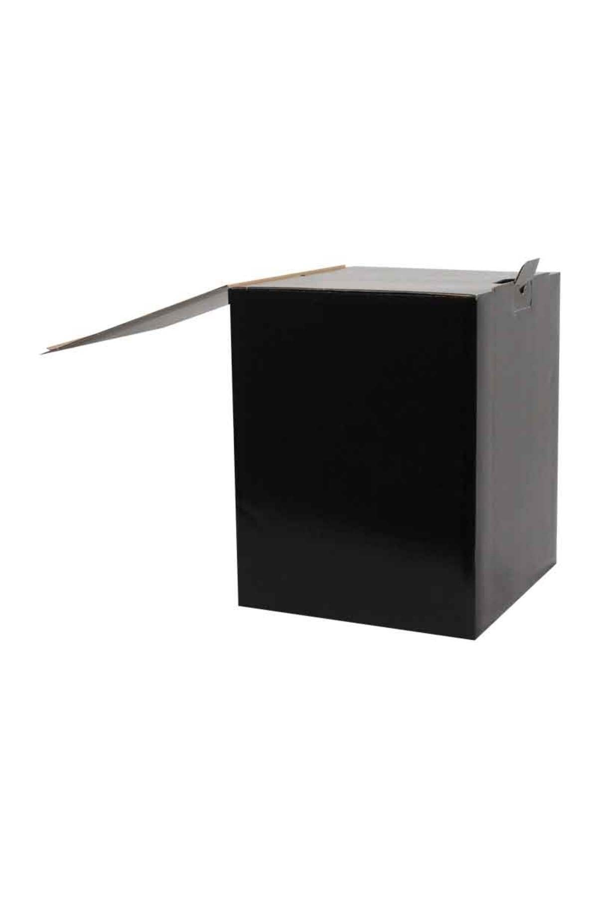 17x17x26cm Box - Black Box - 2,5 Desi Box - 15 pcs