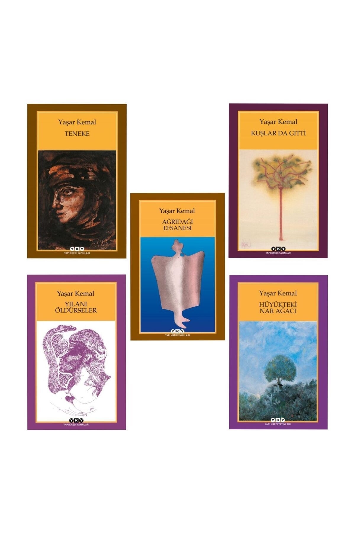 Yapı Kredi Yayınları yaşar kemal - teneke - kuşlar da gitti - ağrıdağı efsanesi - yılanı öldürseler- hüyükteki nar ağacı