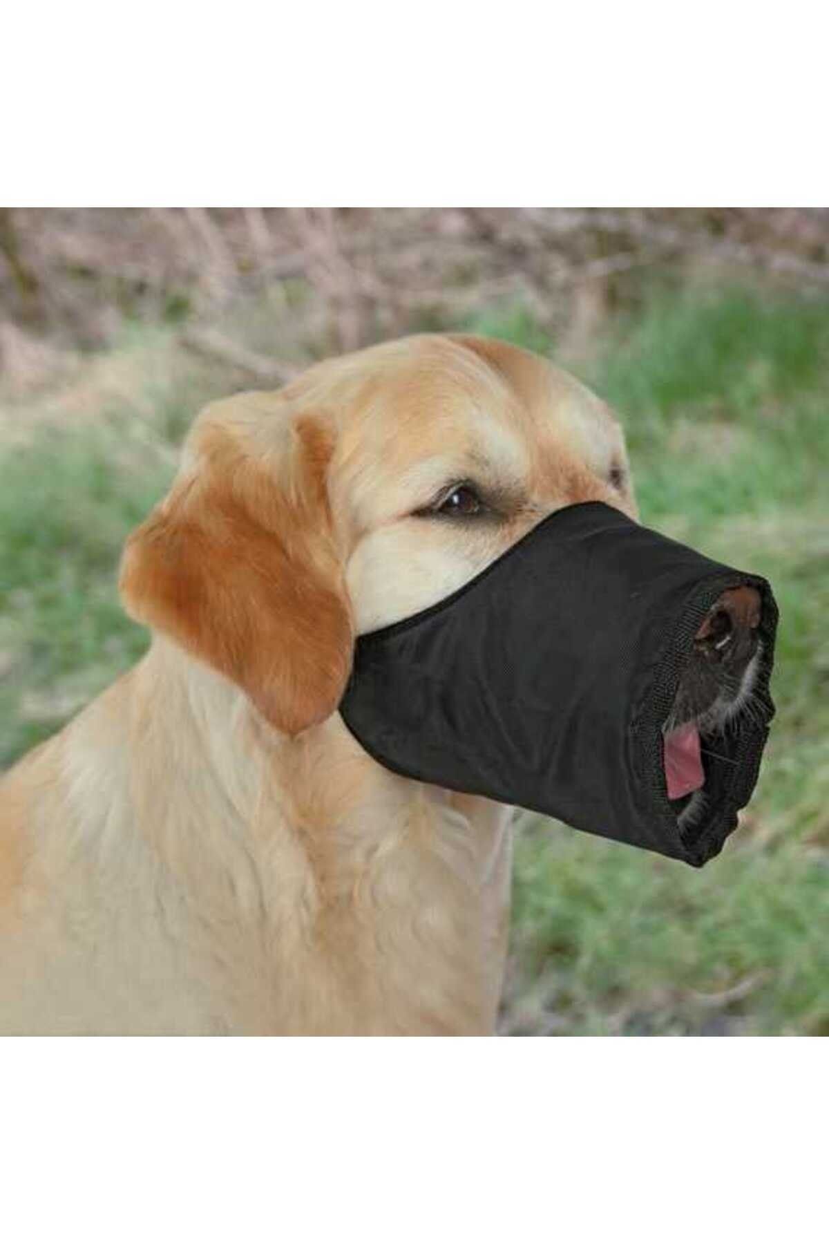 Trixie protection muzzle top