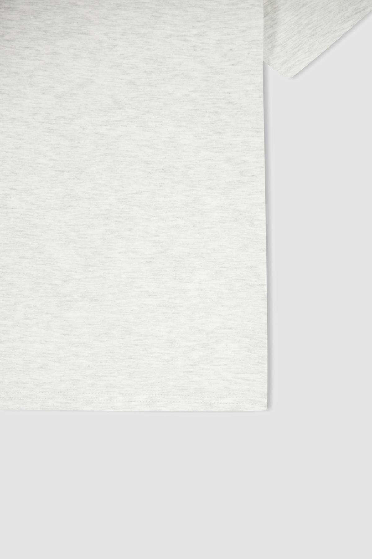 تیشرت پسرانه دفاکتو Defacto اورجینال پسرانه کد کالا K1687A622SP - تصویر 3