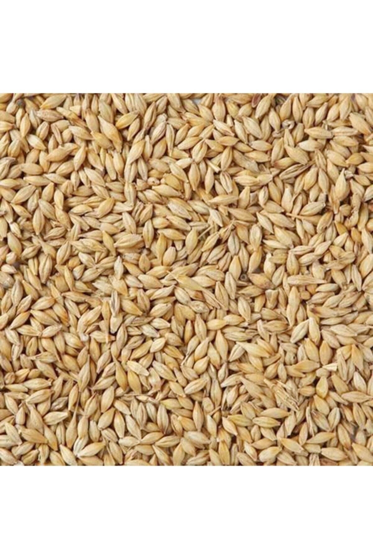 MUTLULAR Arpa (YEMLİK) 10kg