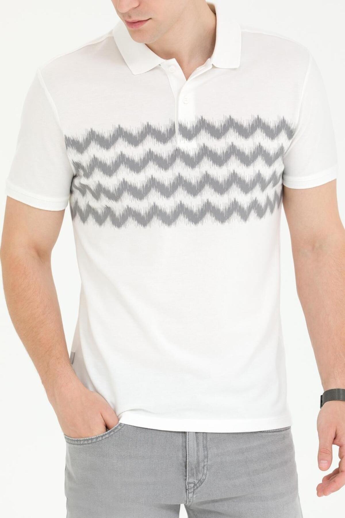 پولوشرت پیر کاردین مردانه پارچه خاکستری   Slim Fit/اسلیم فیت    Slim/اسلیم فیت Daily/روزانه | Pierre Cardin G021SZ011.000.1734708 TR - تصویر 6