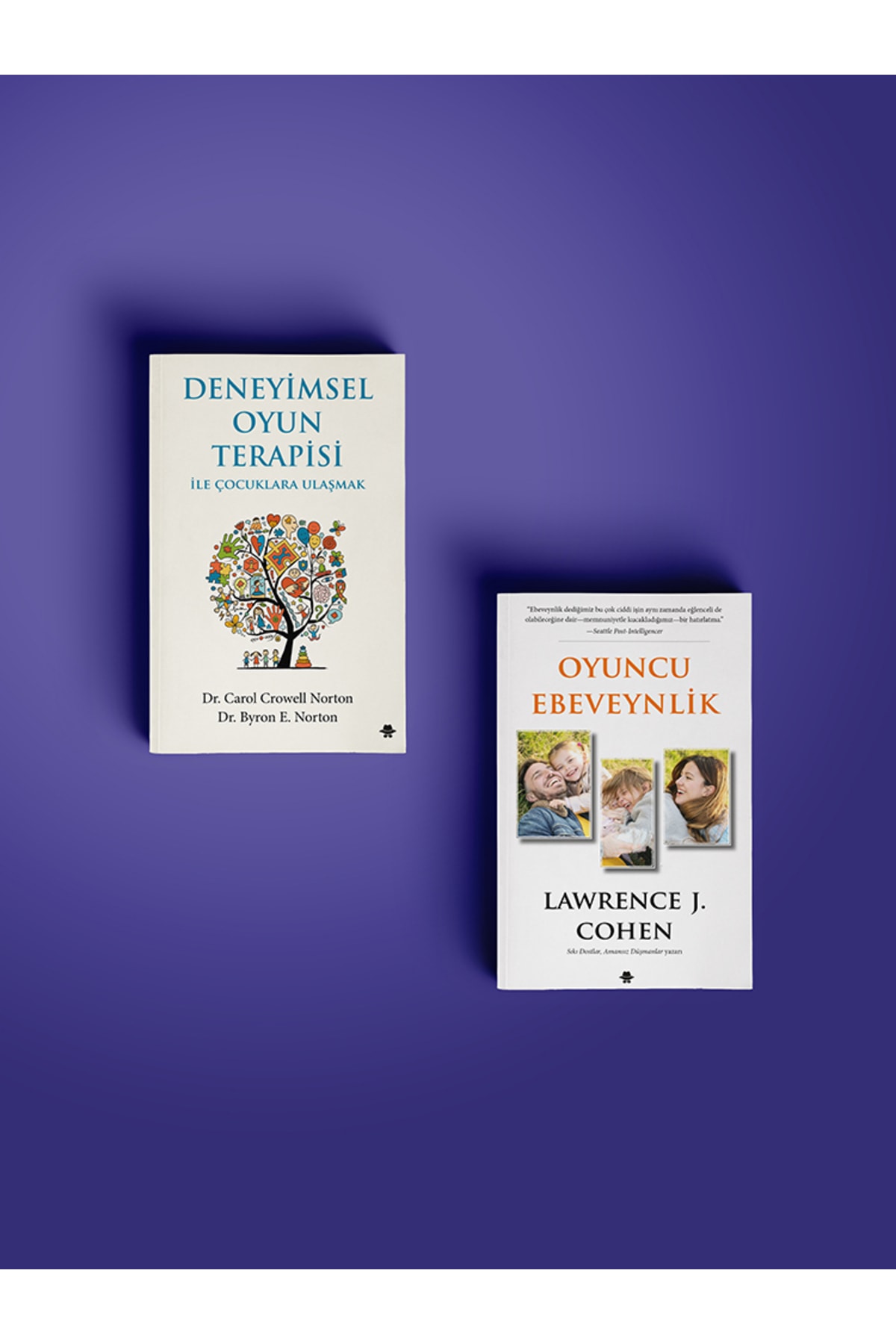 Görünmez Adam Yayıncılık Oyuncu Ebeveynlik, Deneyimsel Oyun Terapisi