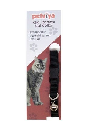 dalong zilli kedi boyunluk