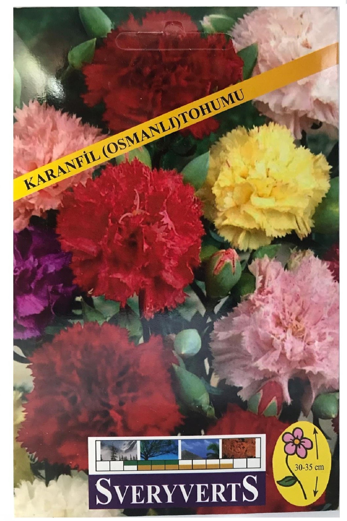 Karanfil Çiçeği Tohumu Osmanlı Paket