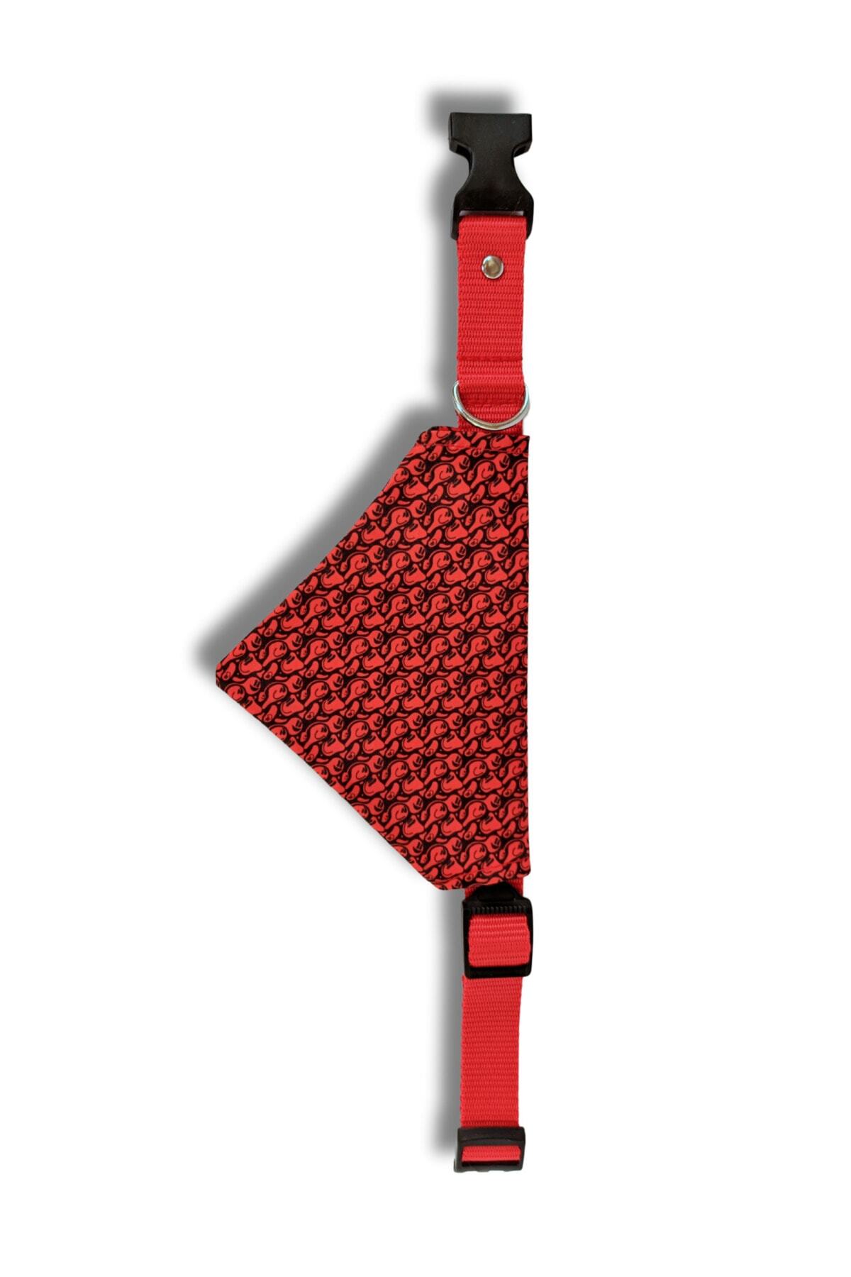 UTDpet-Redd Standard Dog Collar Set and Accessories (with scarf and bow tie) 5