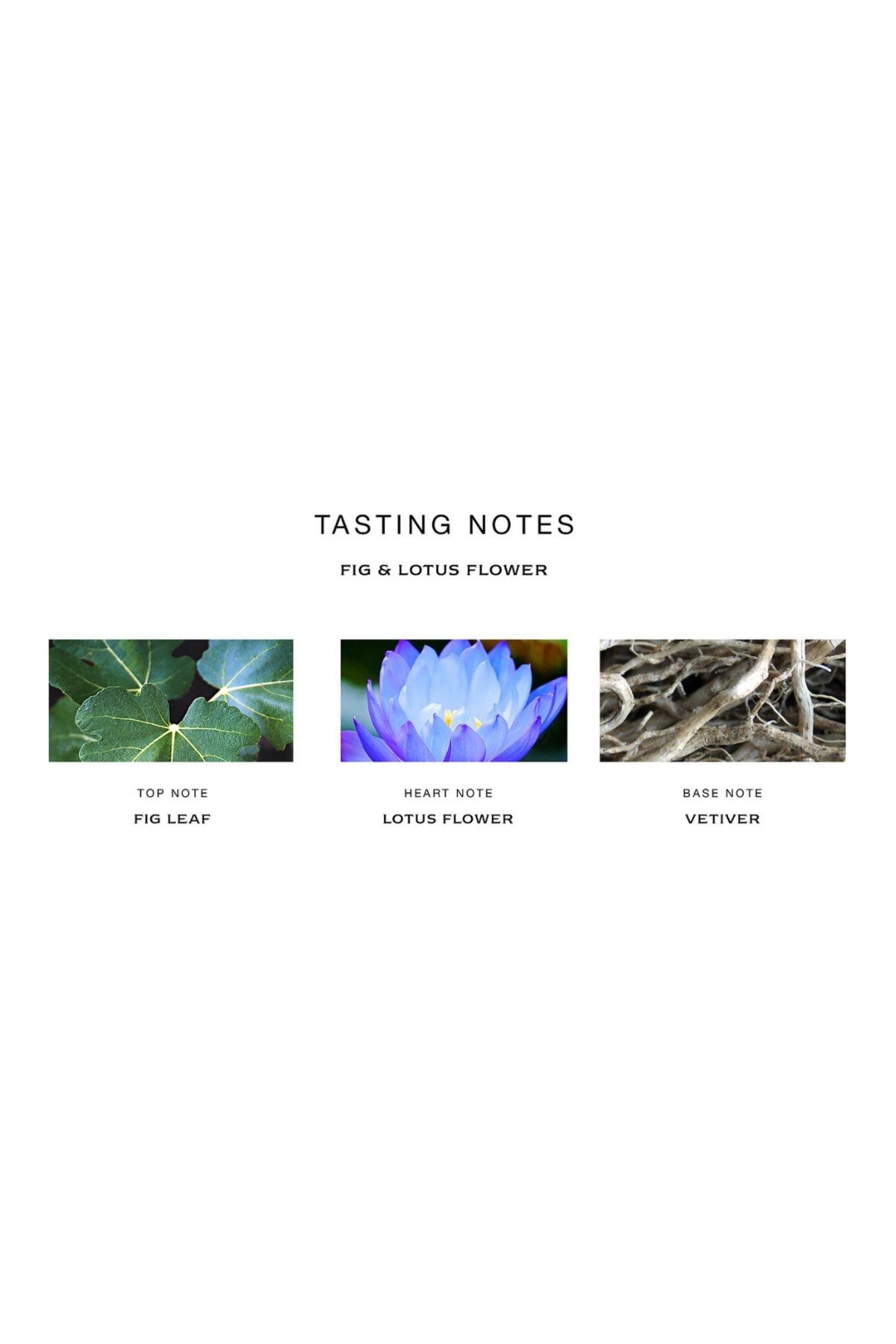 Jo Malone London-Fig & Lotus Flower Cologne 100 ml 7