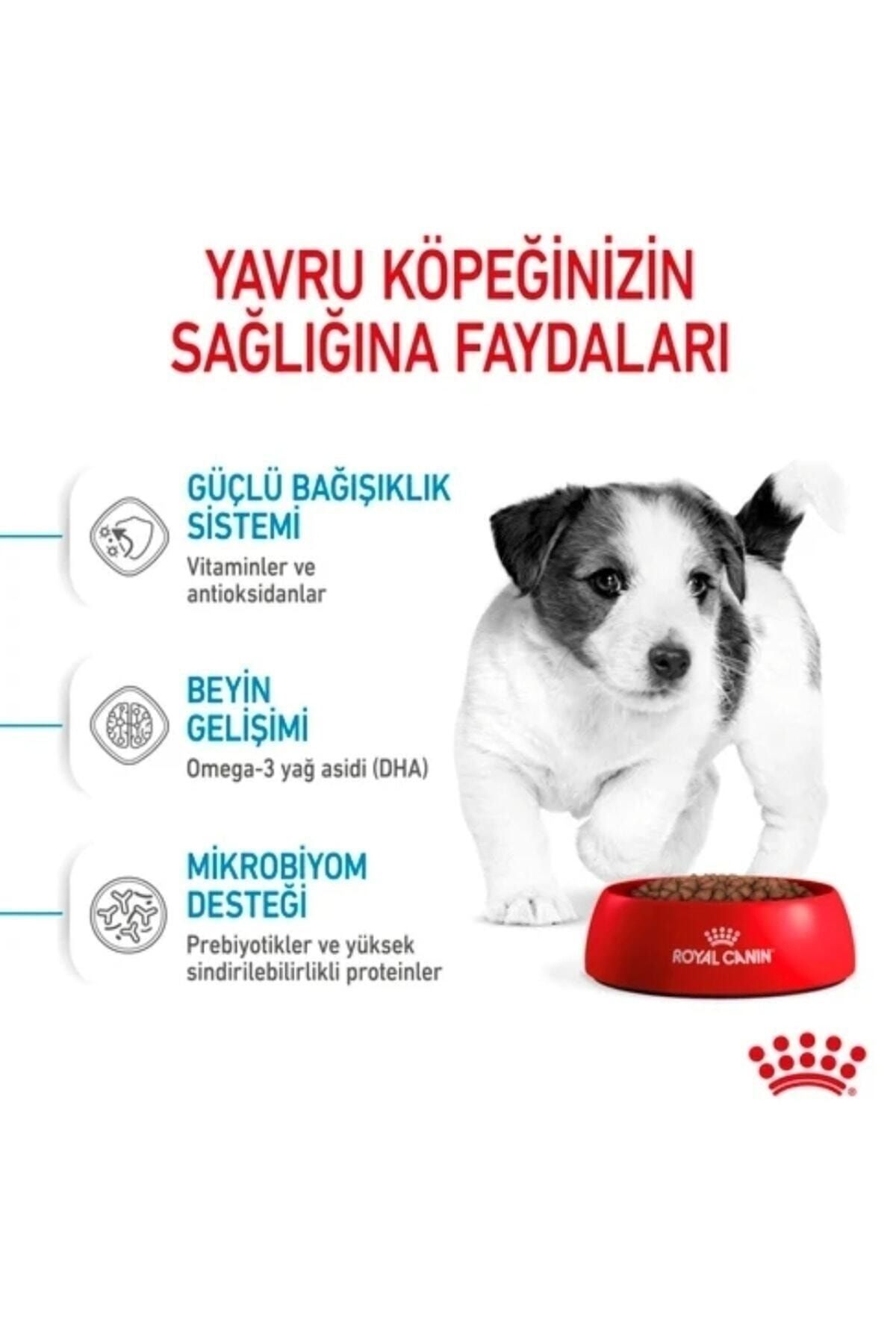 Royal Canin Mini Pupy Mini Irk Yavru Köpek Maması 2kg