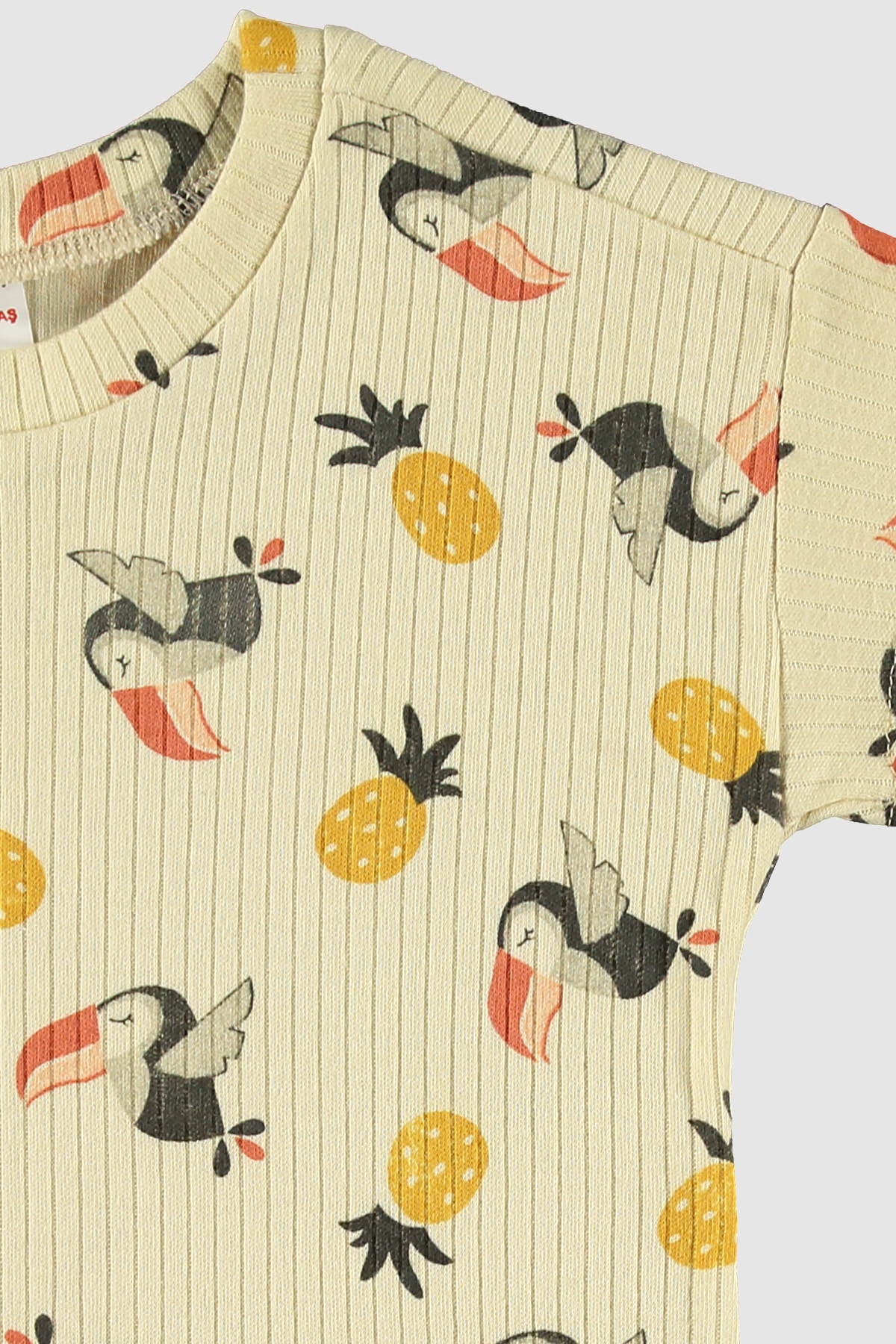 hepbaby Krem, Tukan Desenli %100 Pamuk Şortlu Çocuk Pijama Takımı fotoğrafı 2 (önizleme)