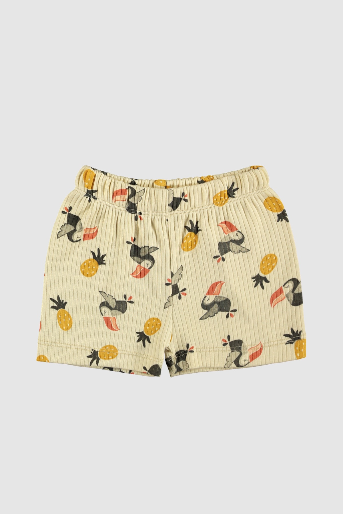 hepbaby Krem, Tukan Desenli %100 Pamuk Şortlu Çocuk Pijama Takımı fotoğrafı 4 (önizleme)