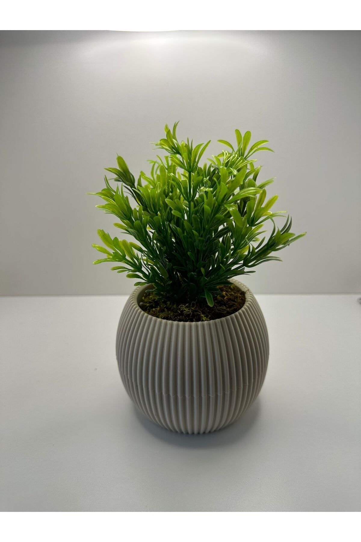 African Lily Artificial Plant Real Stone Moss 18 Cm Decorative Bathroom Kitchen Table Flower in Mini Flower Pot