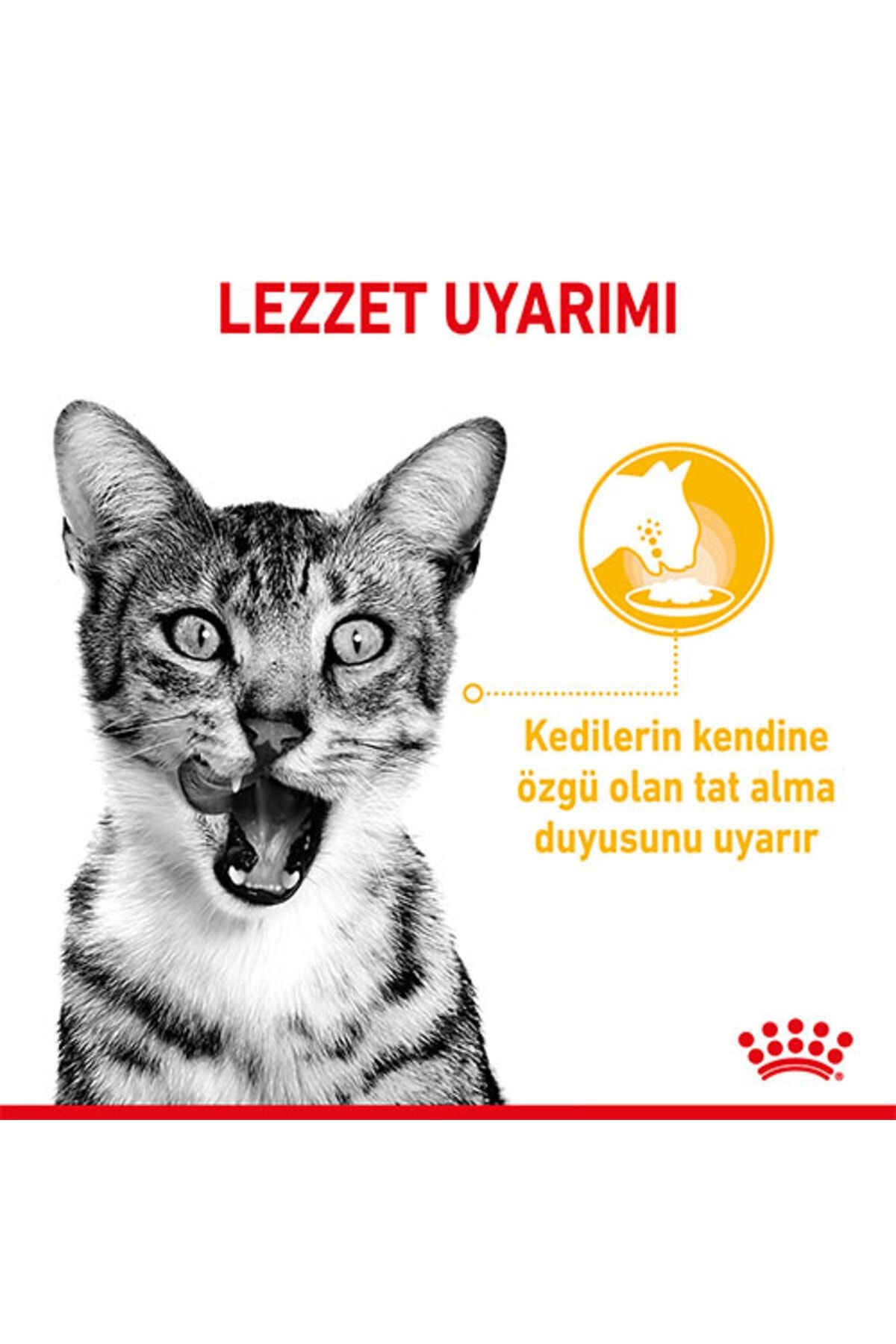 Royal Canın Sensory Taste in Gravy Adult Kedi Konservesi 85 Gr 1 adet