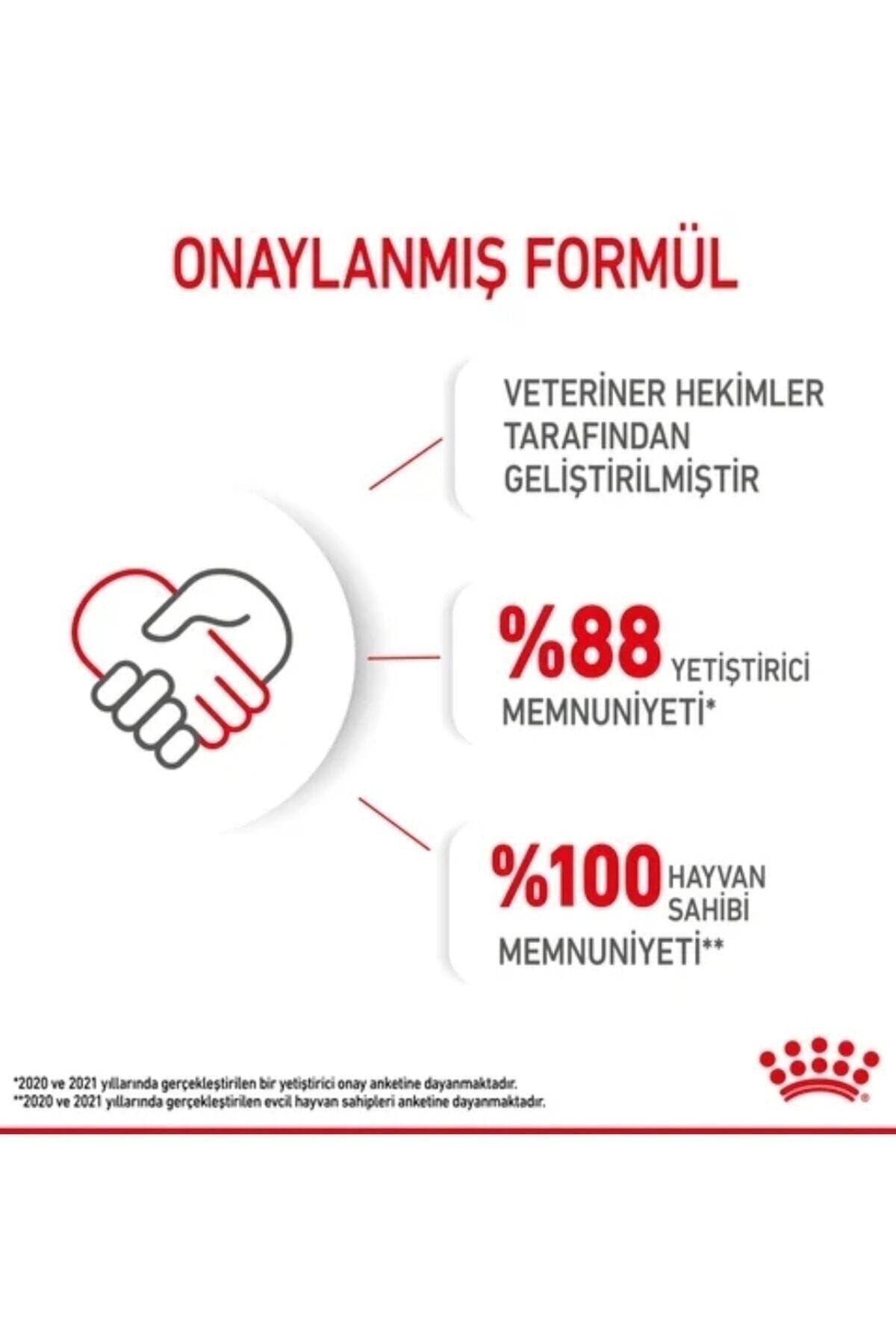 Royal Canin Mini Pupy Mini Irk Yavru Köpek Maması 2kg