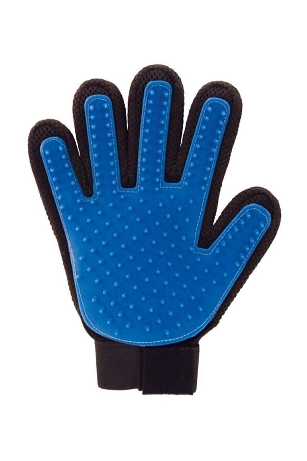 Pet Base Feather Collection Glove Comb for Cats and Dogs Trendyol