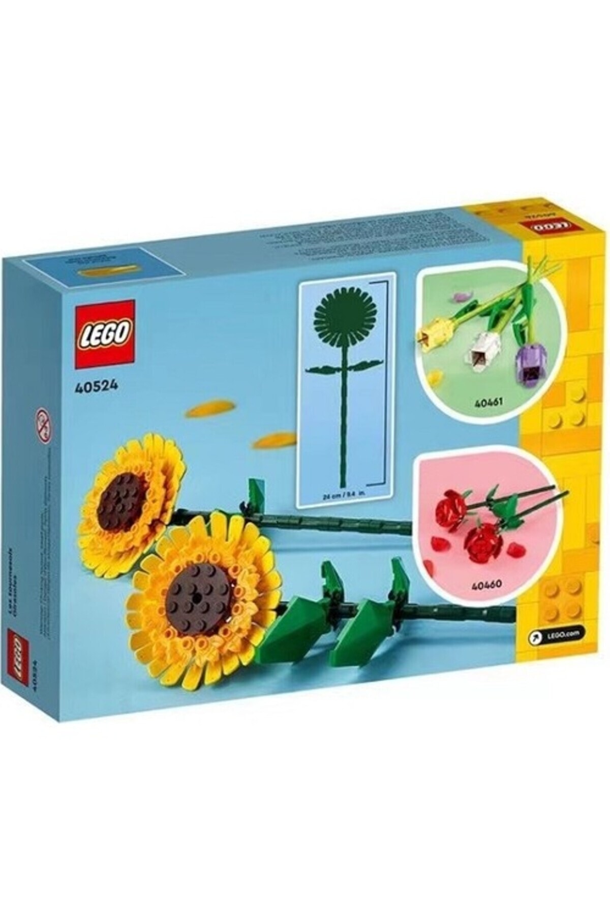 ۴۰۵۲۴ آفتابگردان نمادین (۱۹۱ قطعه)