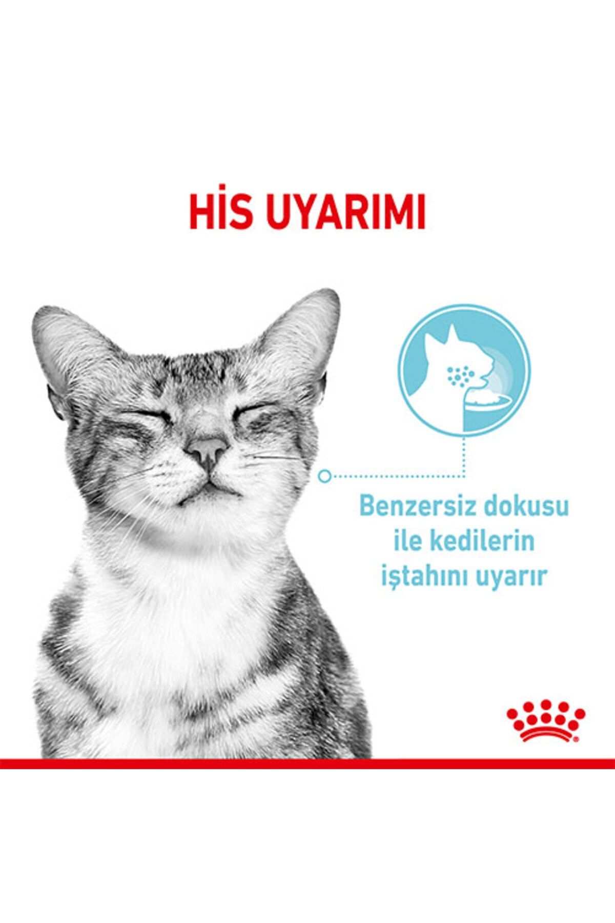 Royal Canın Sensory Feel in Gravy Adult Kedi Konservesi 85 Gr 1 adet