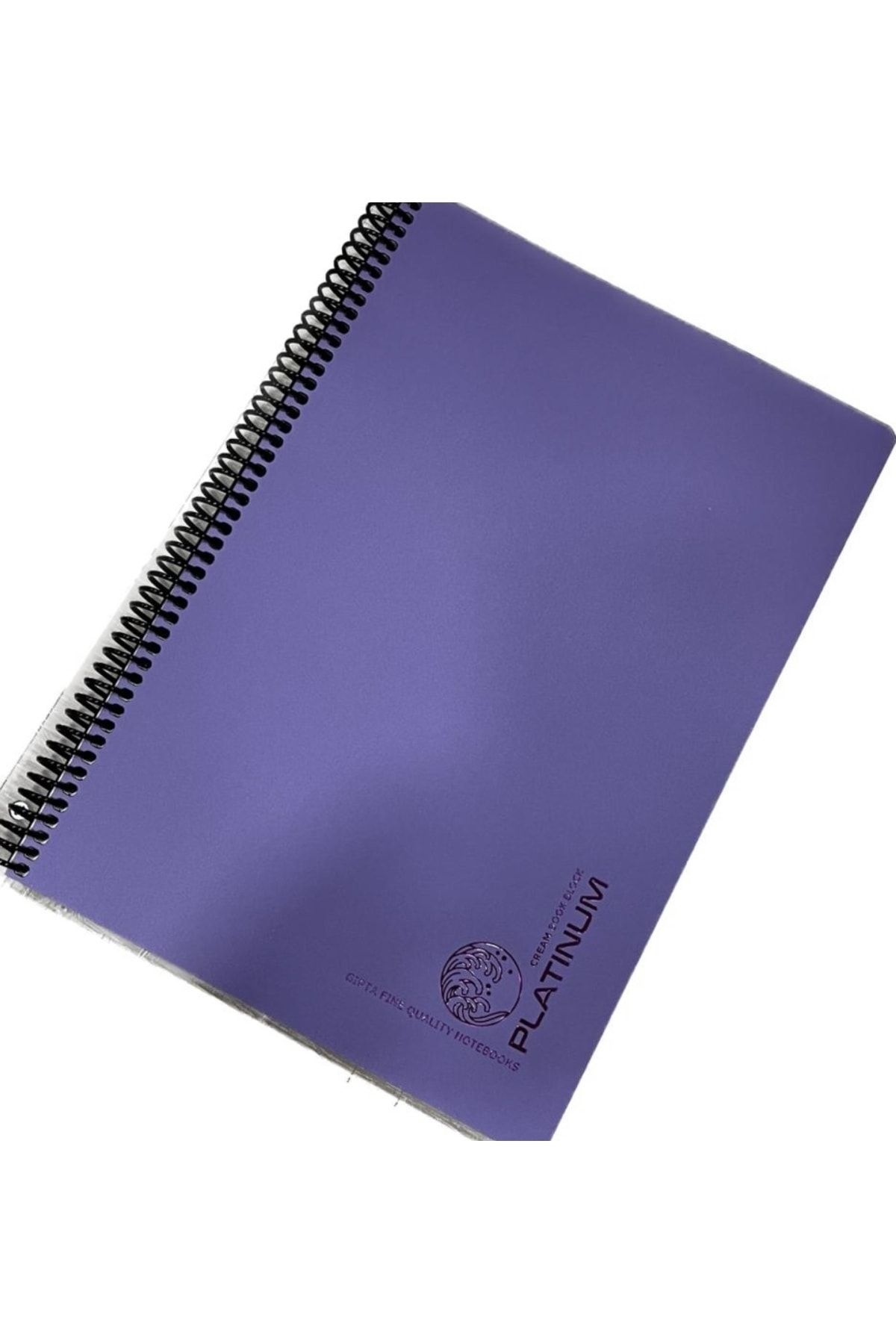 karinabest-Gıpta Platinum مجموعة دفتر ملاحظات مدرسية ذات ألوان معدنية عالية الجودة مقاس A4 100 ورقة غطاء PP مربعات مع حلزون 4