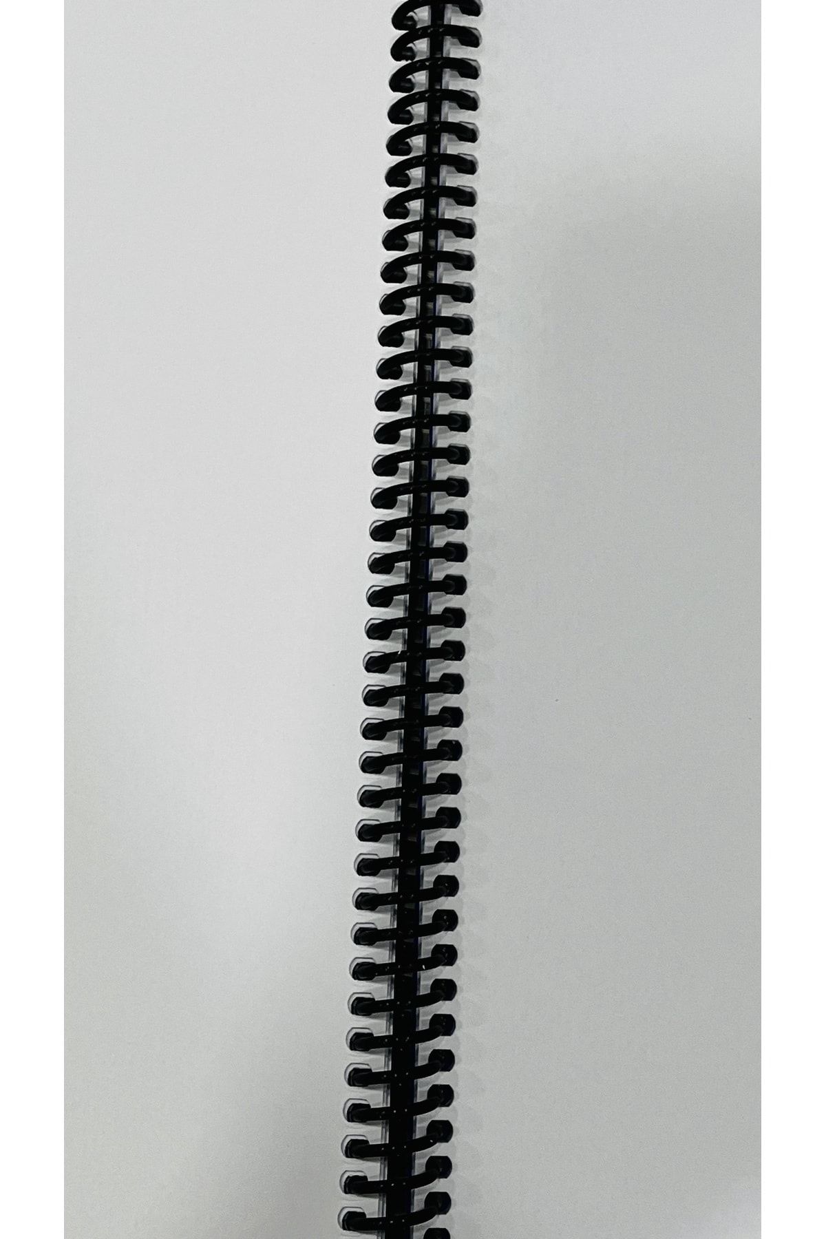 karinabest-Gıpta Eco The Ultimate Notebook مجموعة دفتر ملاحظات مدرسية مزدوجة مقاس A4 غطاء PP 60 ورقة حلزوني غير مبطن 2