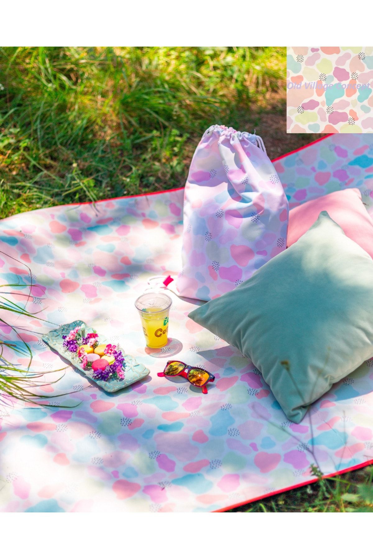 Picnic blanket with best sale pillow