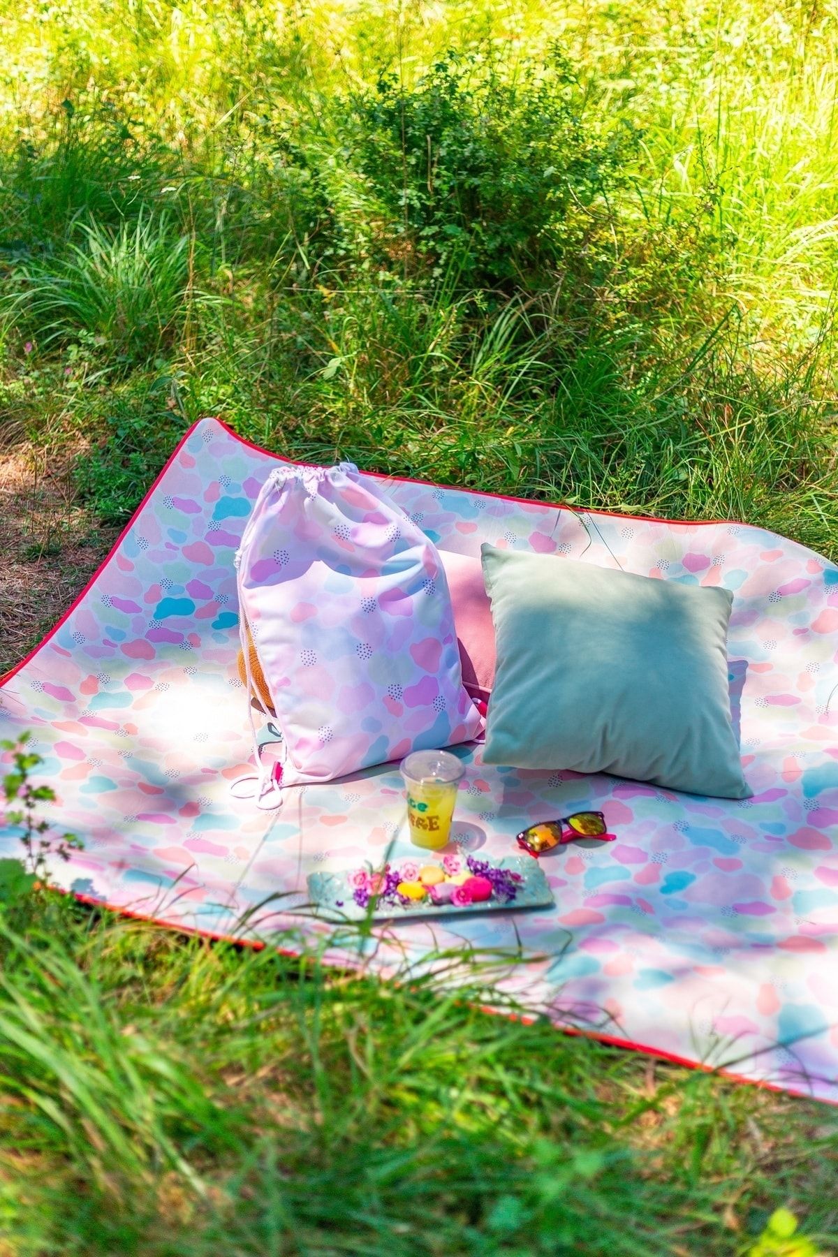 Picnic blanket on sale with pillow