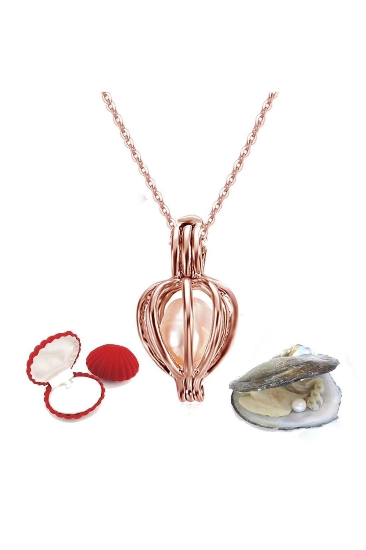 Real pearl sales necklace from oyster