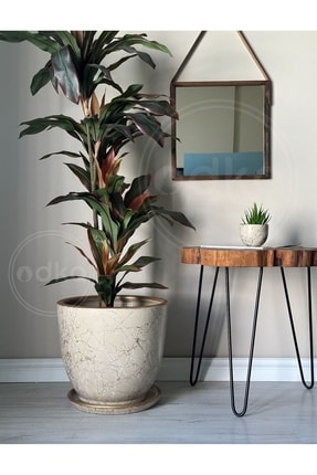 odka 20litre Klasik Saksı Tabaklı 30cmx30cm Lily Taş Gold Beyaz