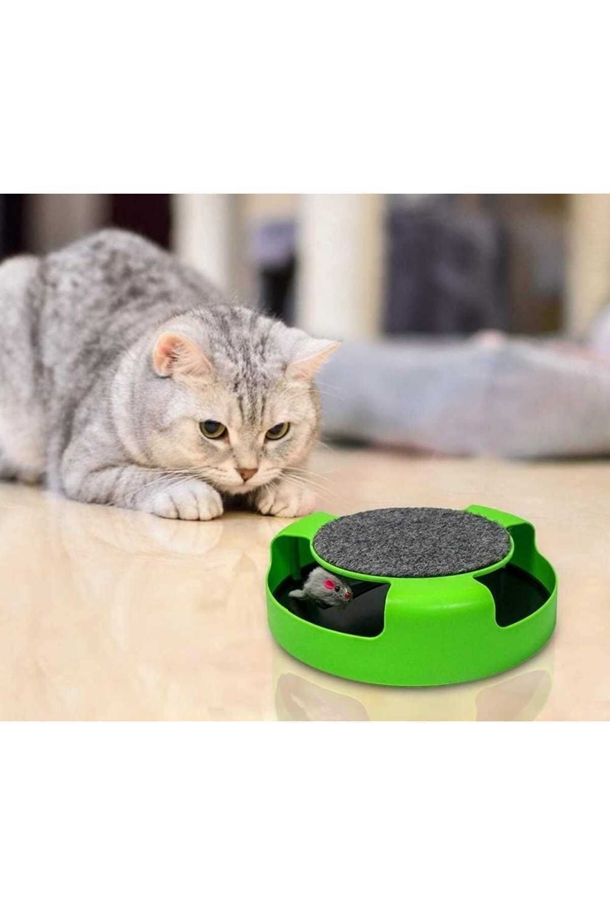 TİSERT-Animated Mouse Toy for Cats 6