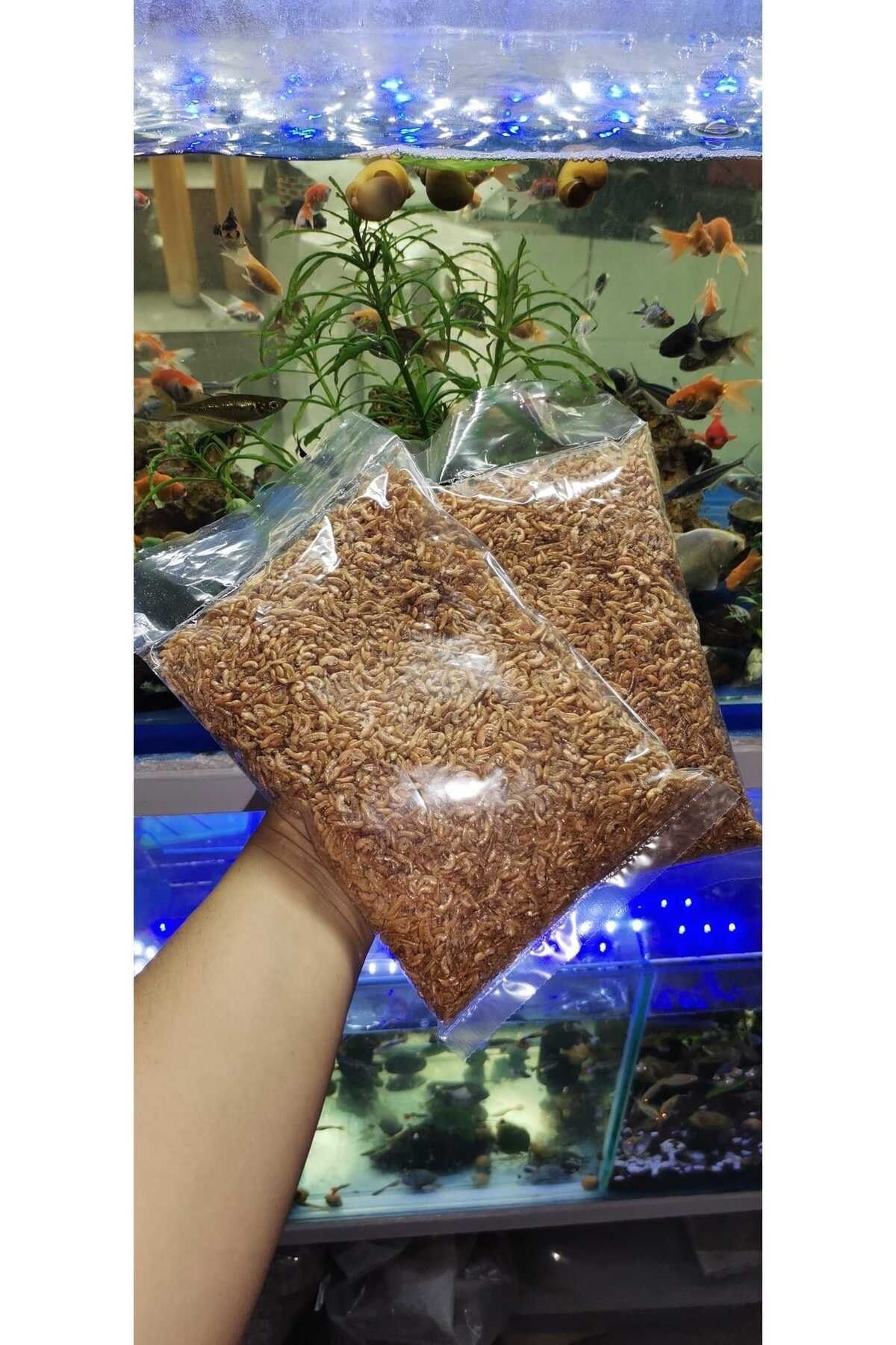 MDİZMİR 50 gr kurutulmuş gammarus