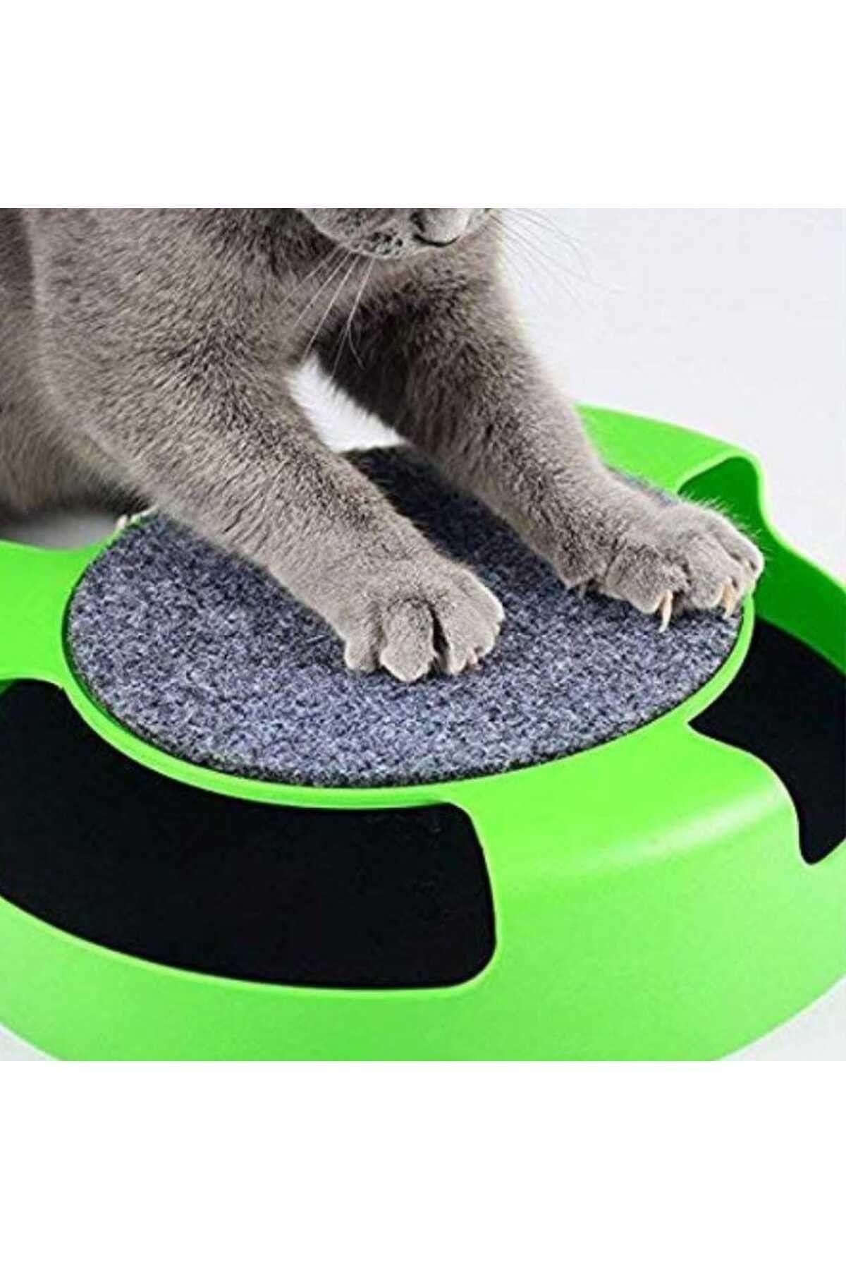 TİSERT-Animated Mouse Toy for Cats 5