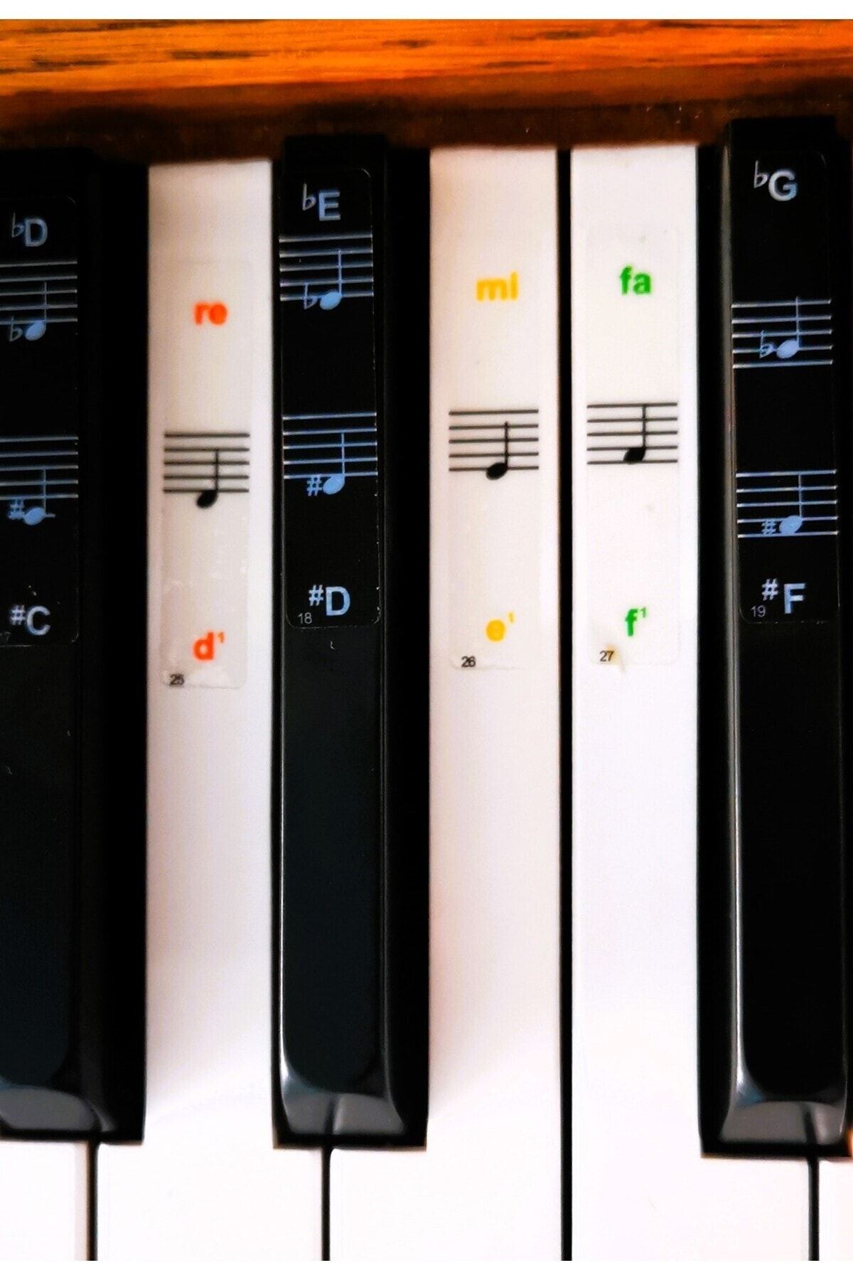 klavye piyano notaları