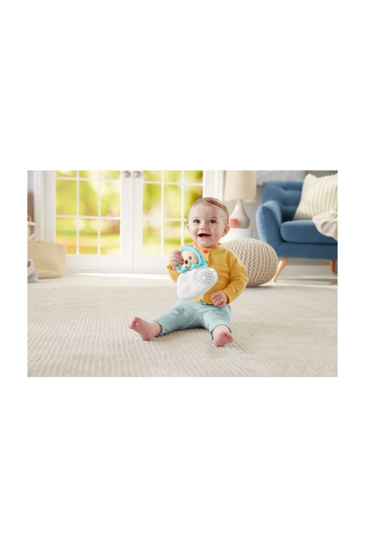 Fisher Price Kelebekli Rüyalar Müzikli Jimnastik Merkezi / fotoğrafı 5 (önizleme)