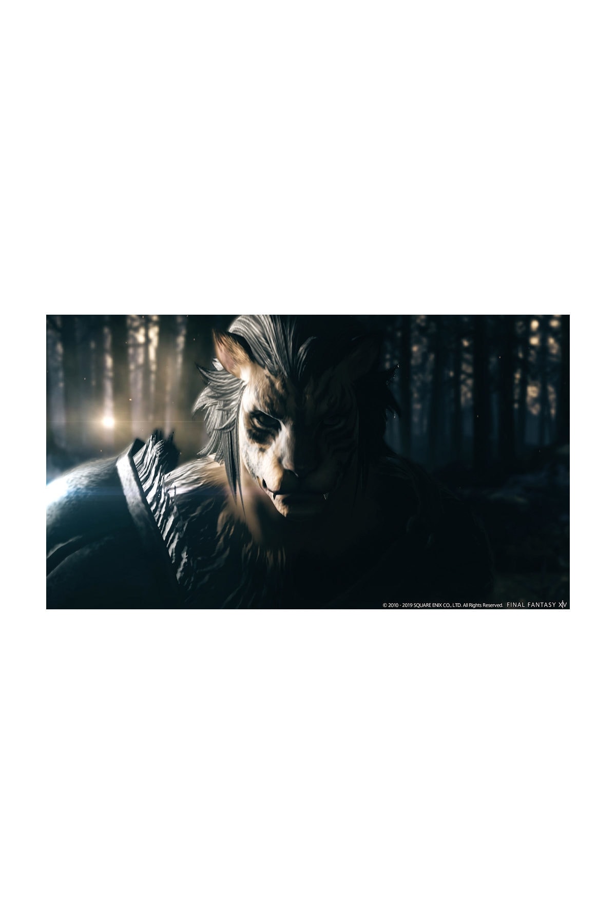 Final Fantasy XIV A Realm Reborn PS4 Oyun 8
