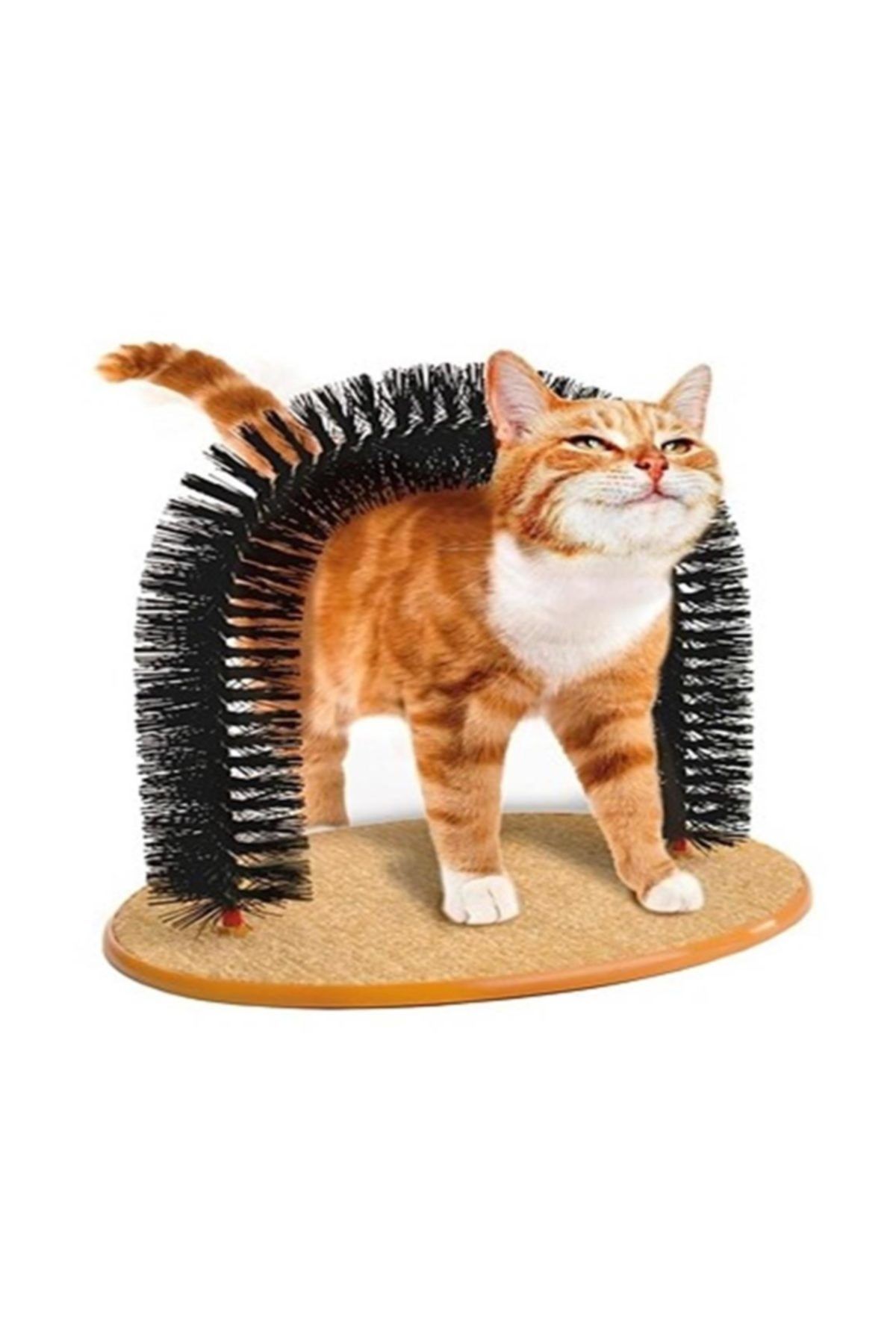 purrfect arch kedi tirmalama ve kasinma