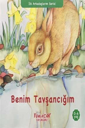 trendyol