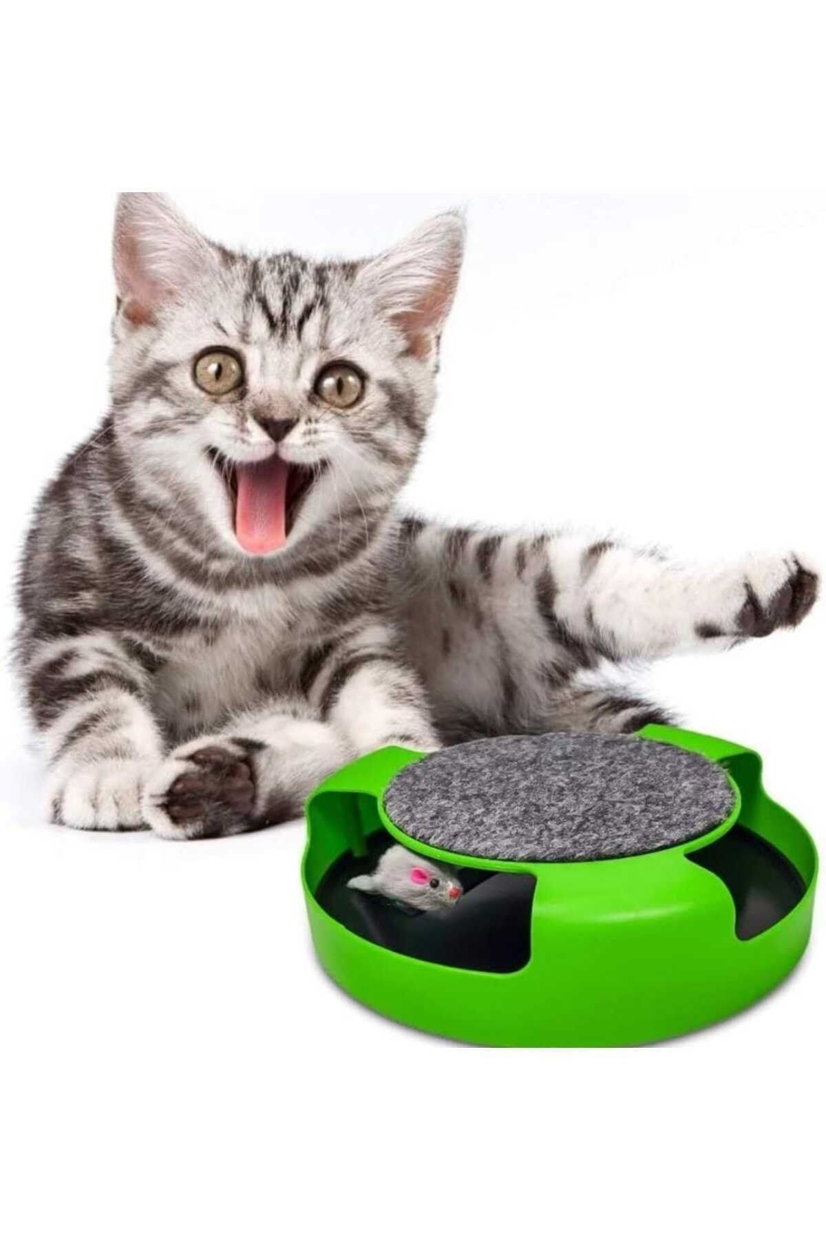 TİSERT-Animated Mouse Toy for Cats 7