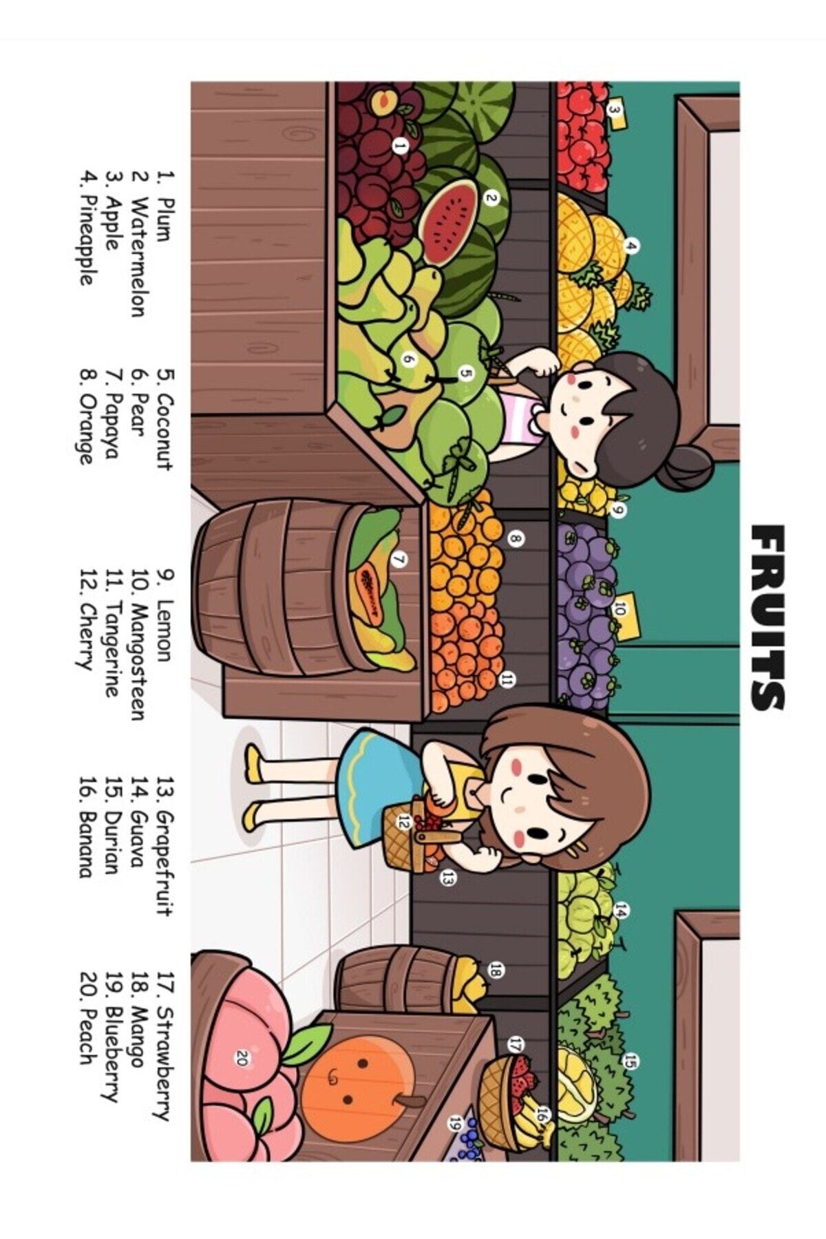 Enine Boyuna Eğitim-English Word Memorization Charts (22 Charts) 3