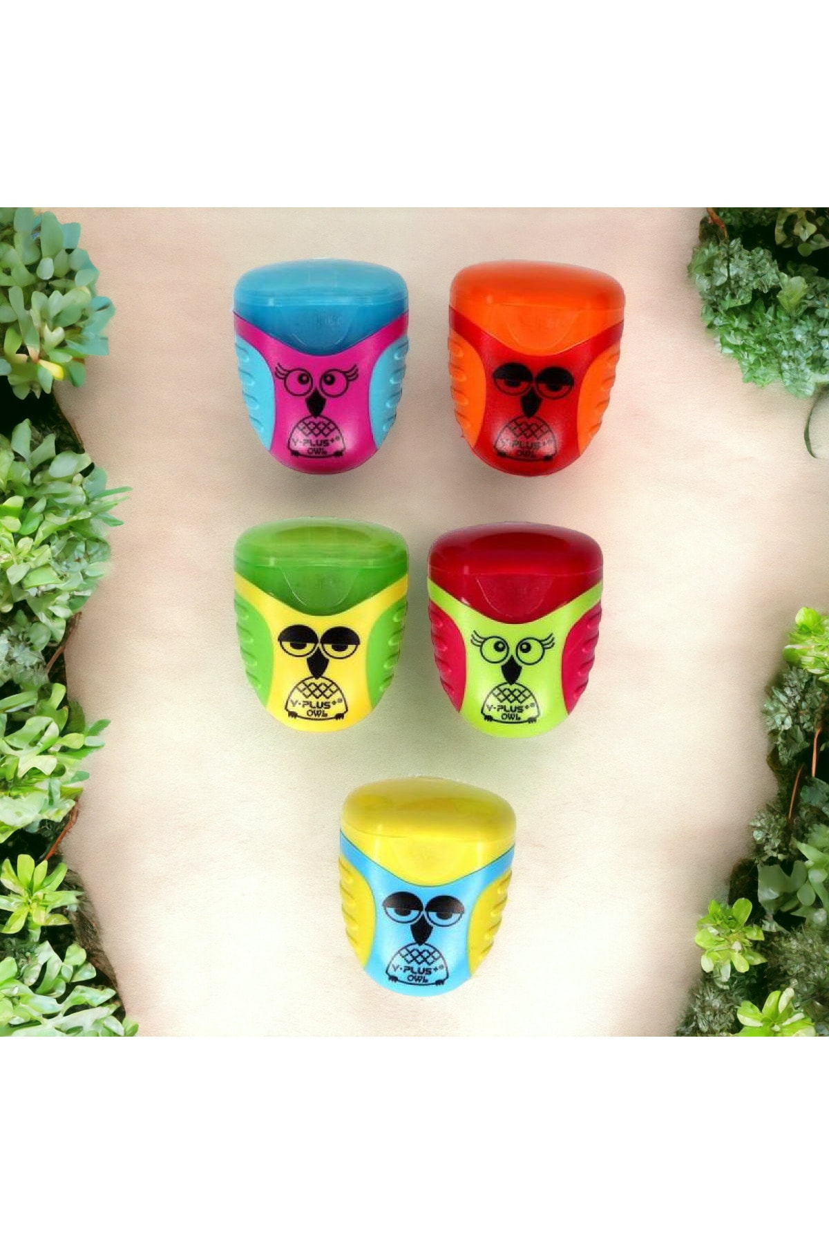 Y Plus Y-PLUS ÇİFTLİ KALEMTRAŞ KARIŞIK DESEN 1 ADET