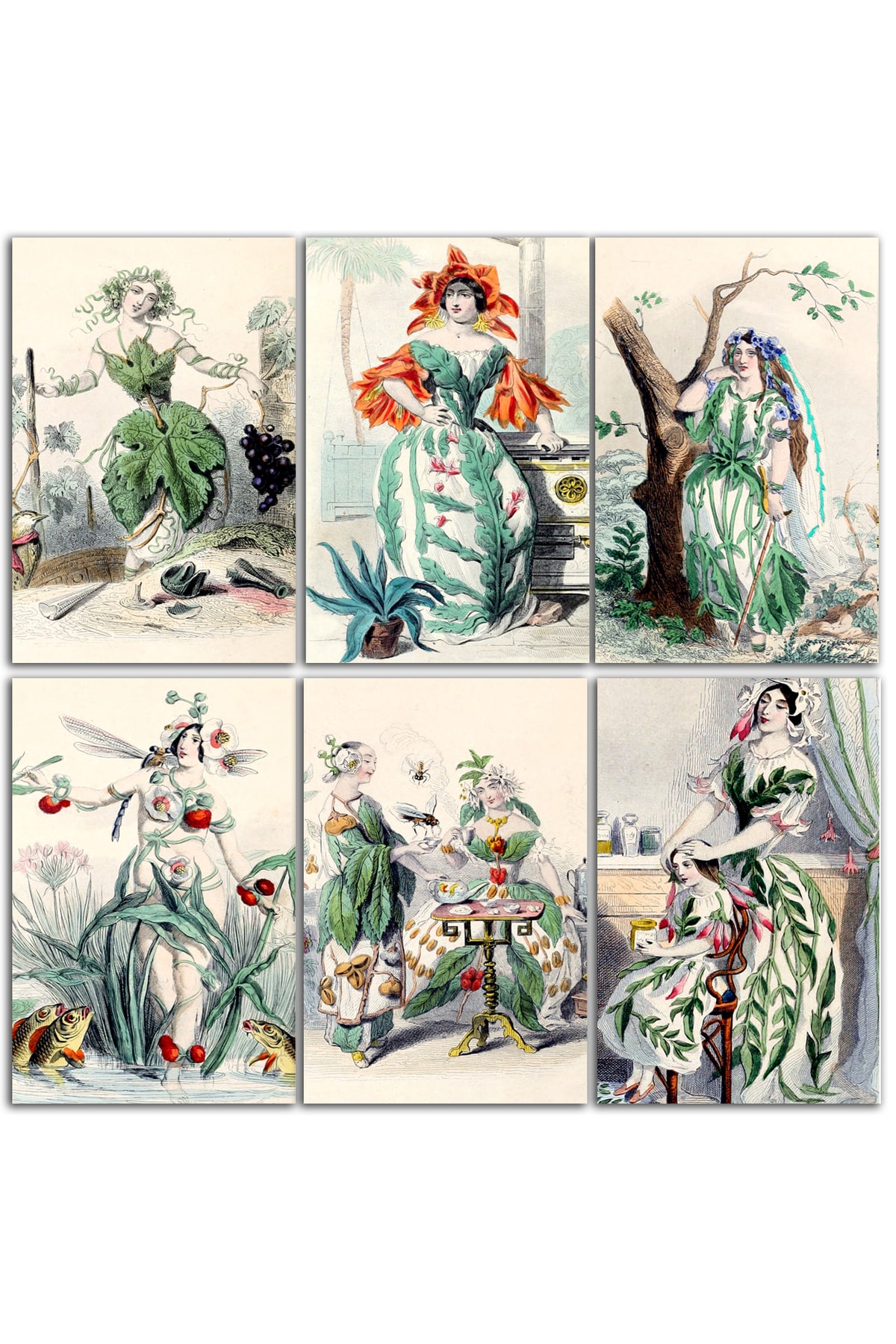 TELLGRAF Çizim Kadınlar Temalı Kartpostal Seti (10x15 cm 6 adet)