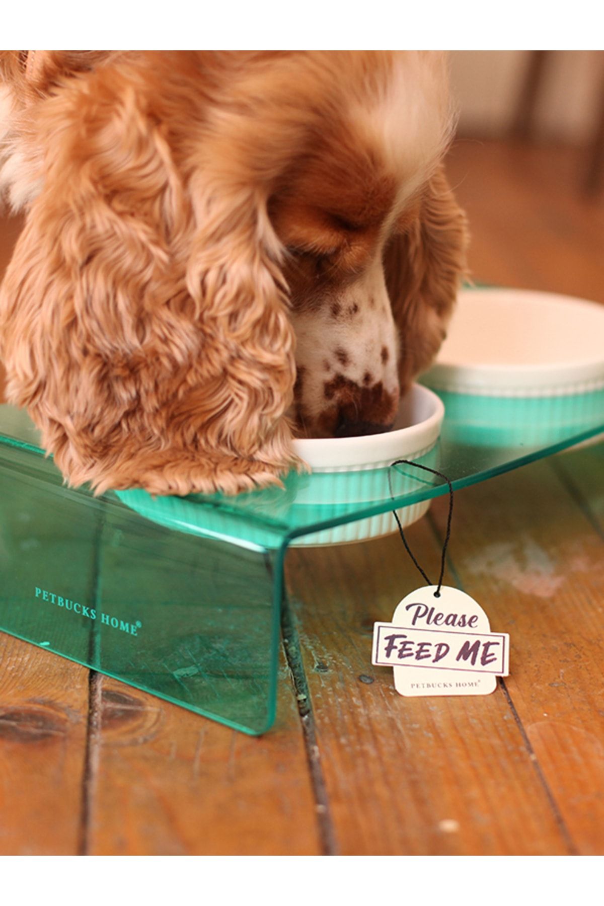 Petbucks Pet Accessories Cat And Dog Decorative Porcelain Food