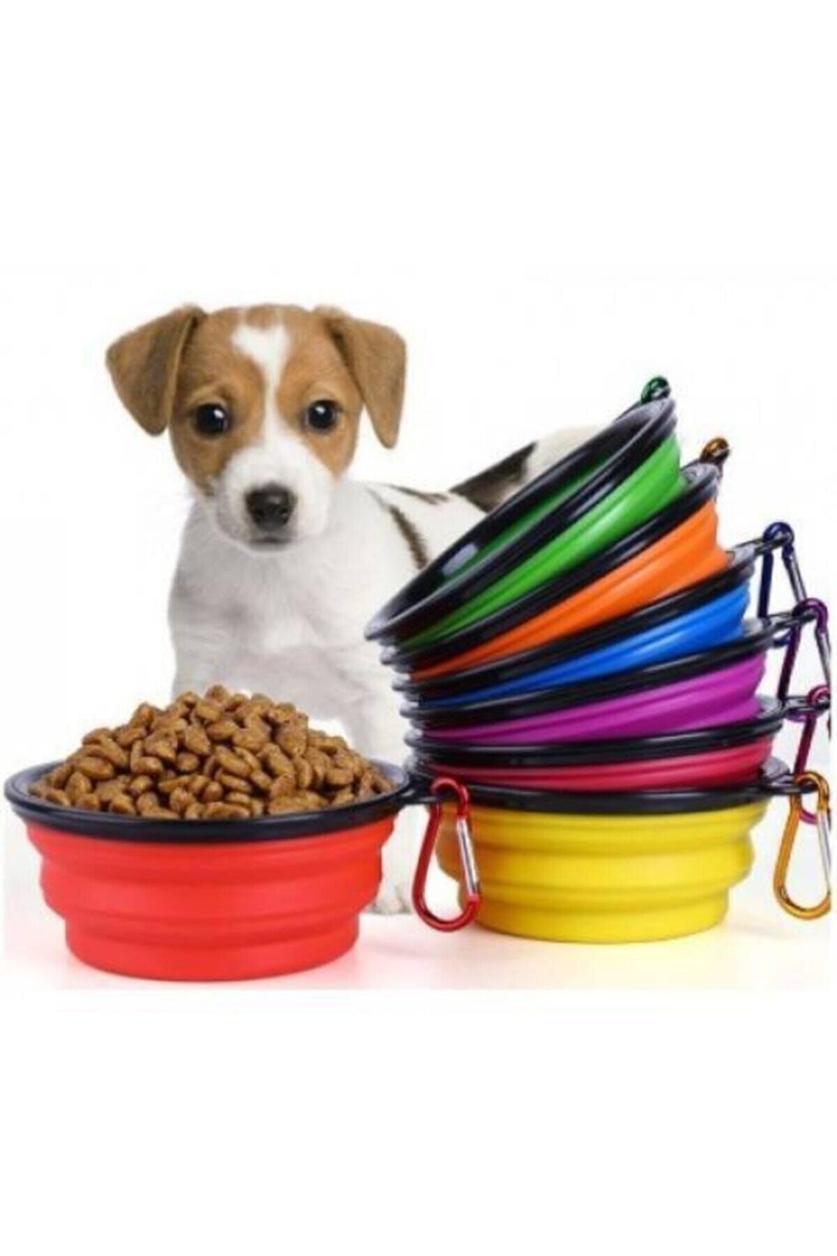 Pet sales dog supplies