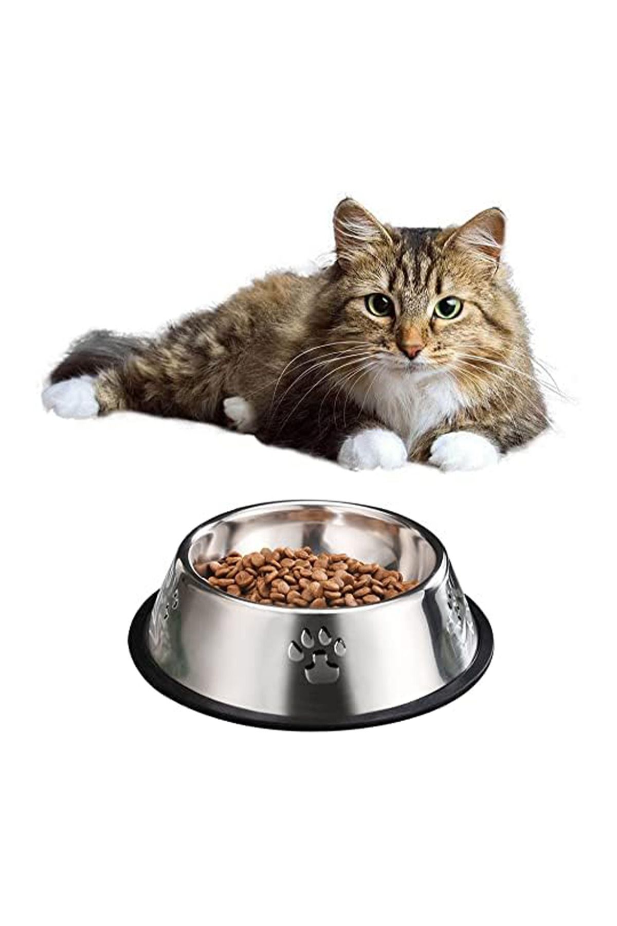 Pet food hotsell bowl