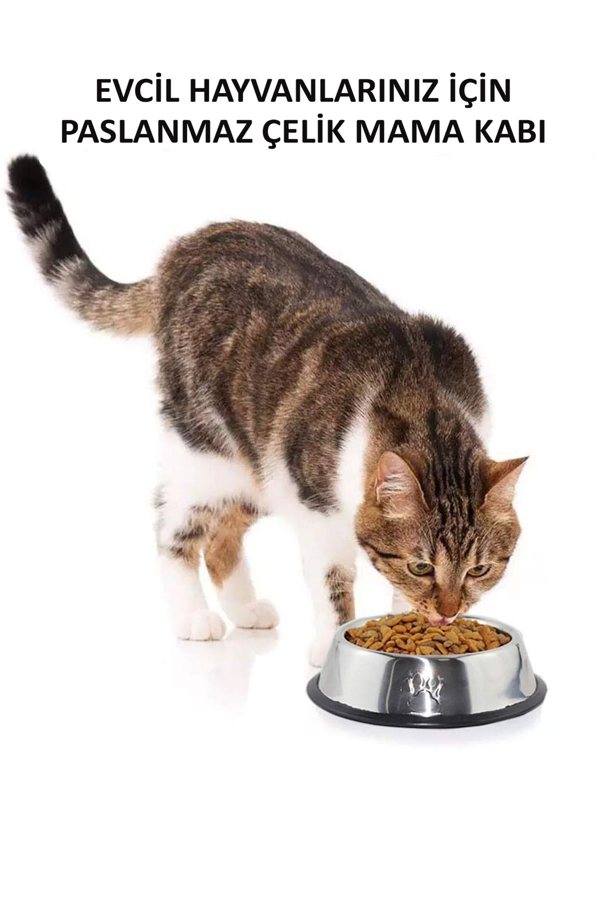Pet dishes deals for cats