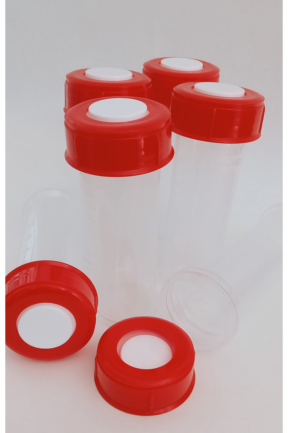 Eday 6'lı Anne Sütü Saklama Kapları fotoğrafı 2 (önizleme)