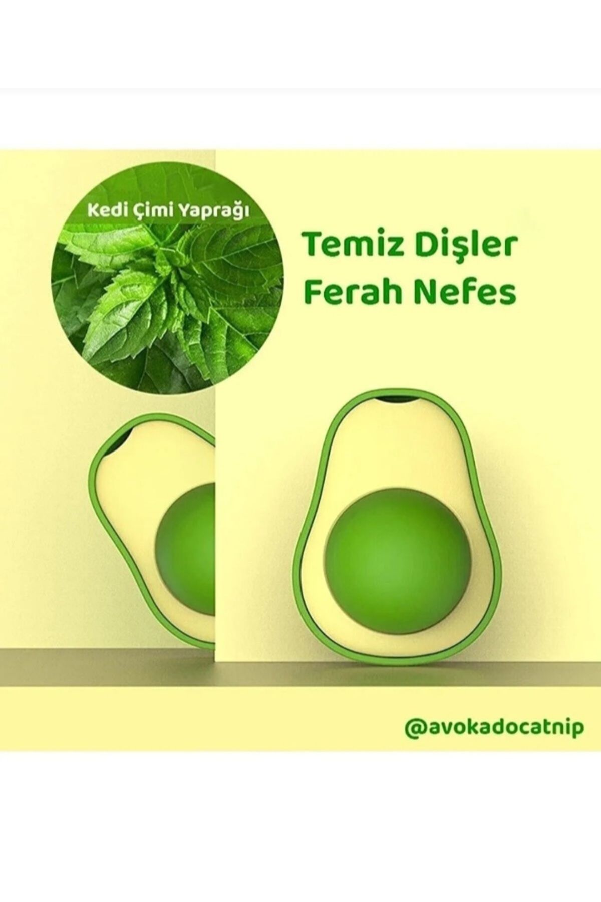 world pigeons-Adhesive Mint Ball for Cats (2 PCS) Avacado Catnip Canpit Cat Lick Ball 2